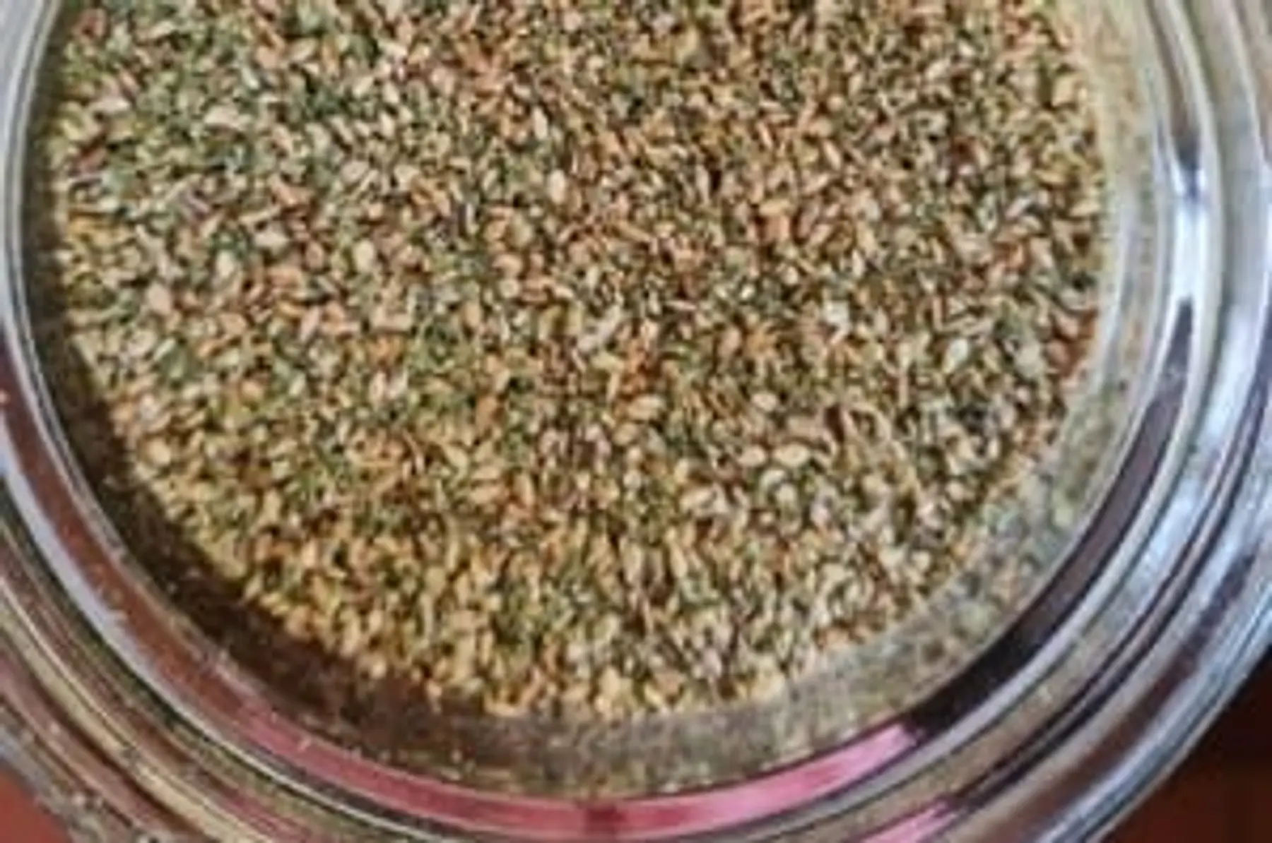 Vrac Gomasio Ortie 100g