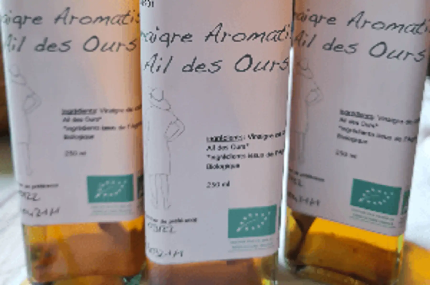 vinaigre à l'ail des ours