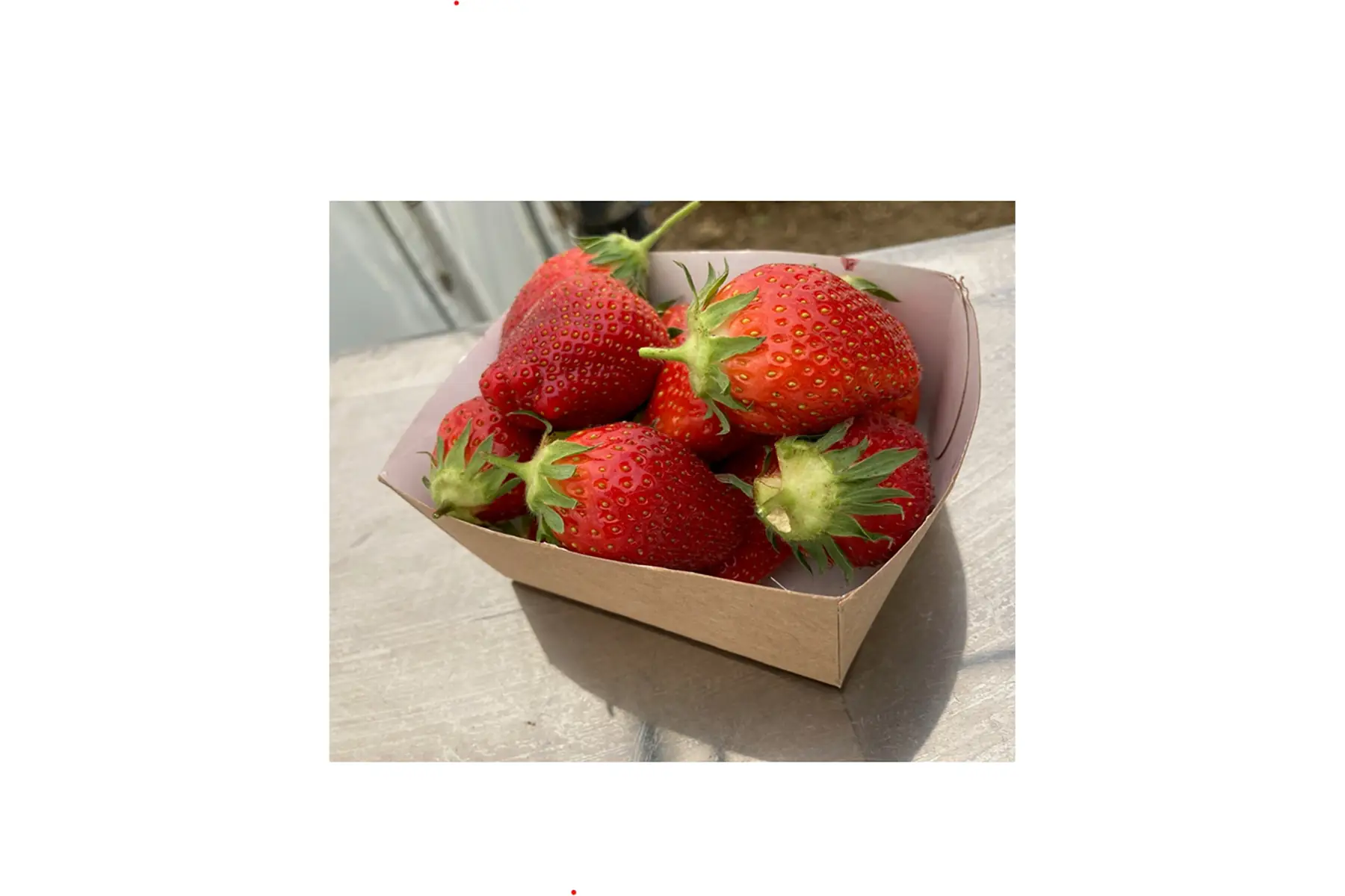 barquette de fraises