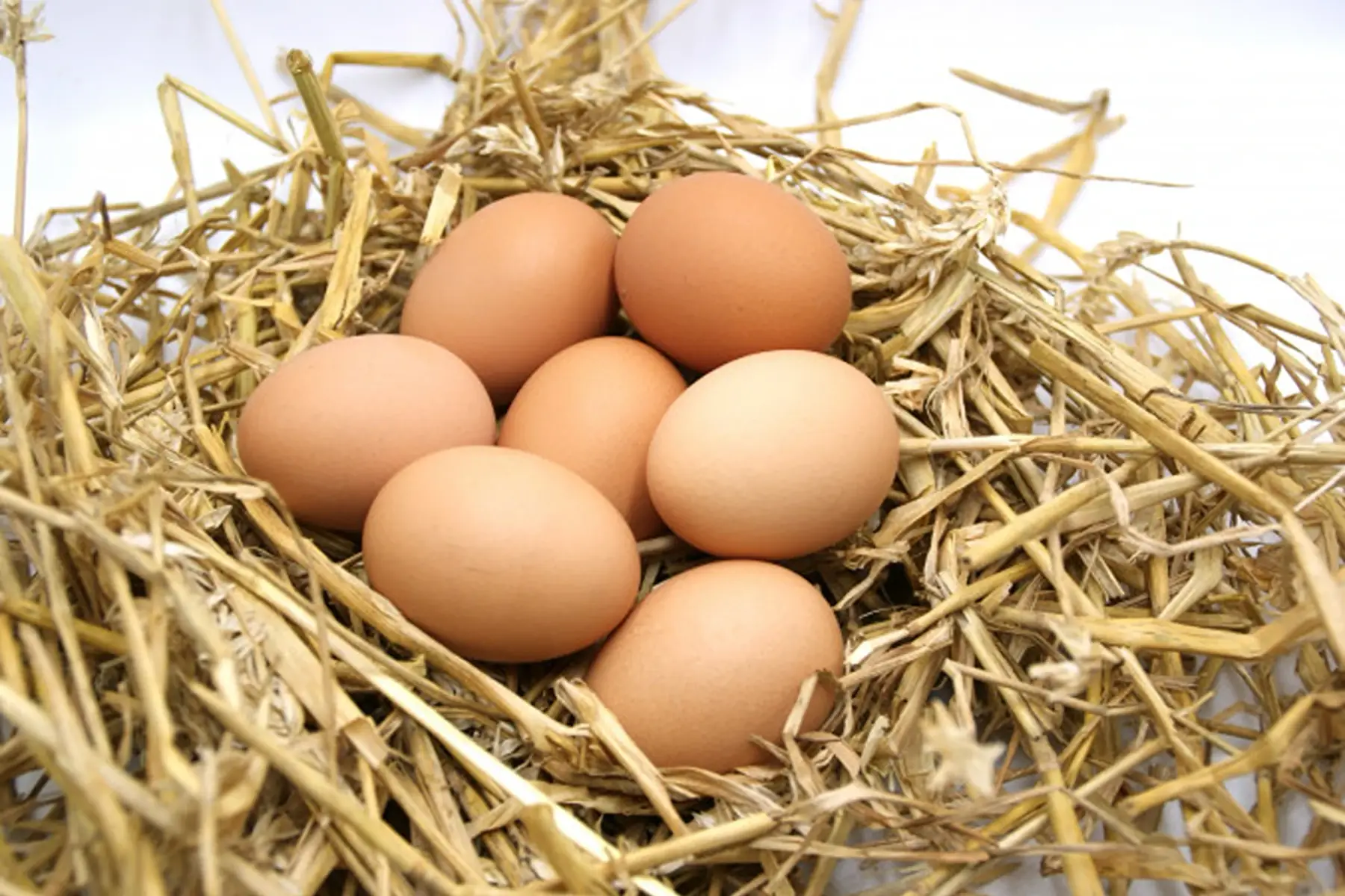 veronique quemener tarraube (dutrain)