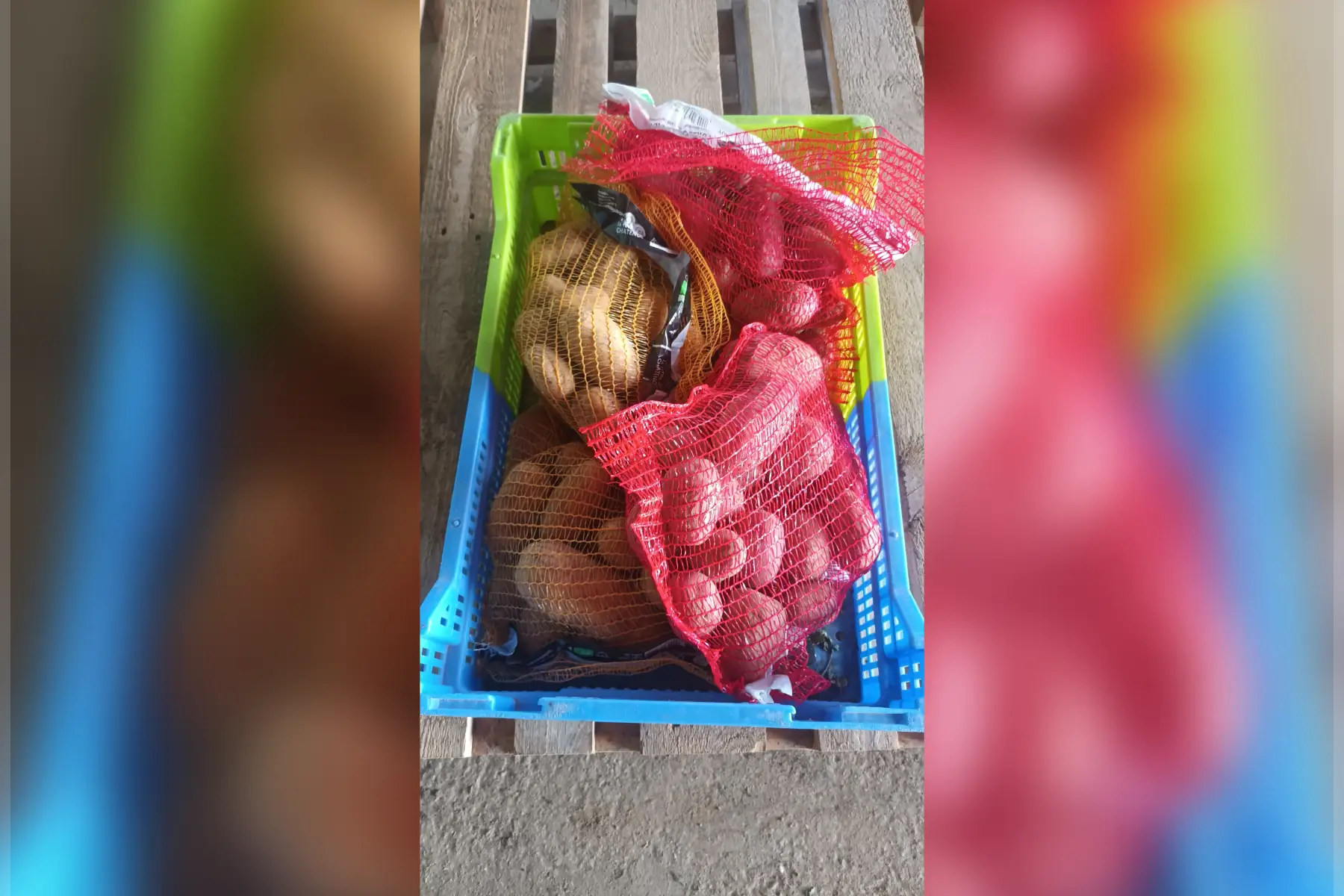 pomme de terre jaune