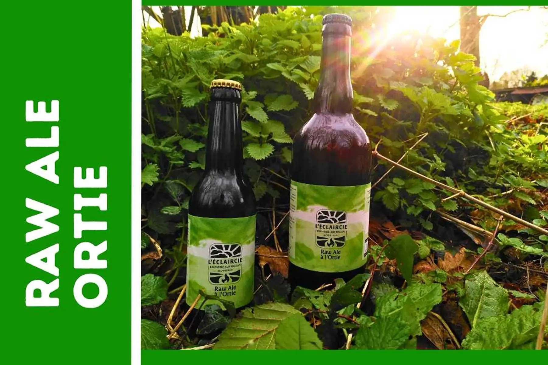 blonde à l'ortie - raw ale - 4%