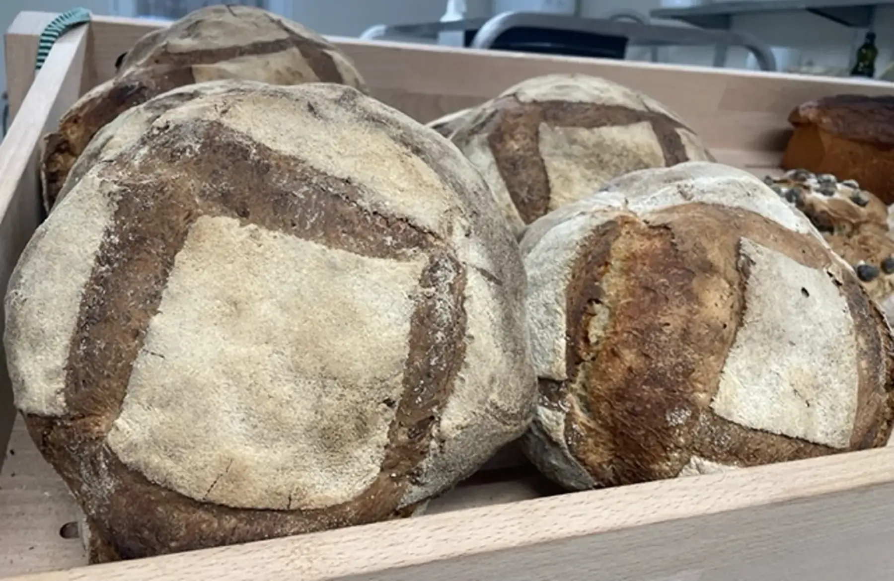 pain de campagne 1kg
