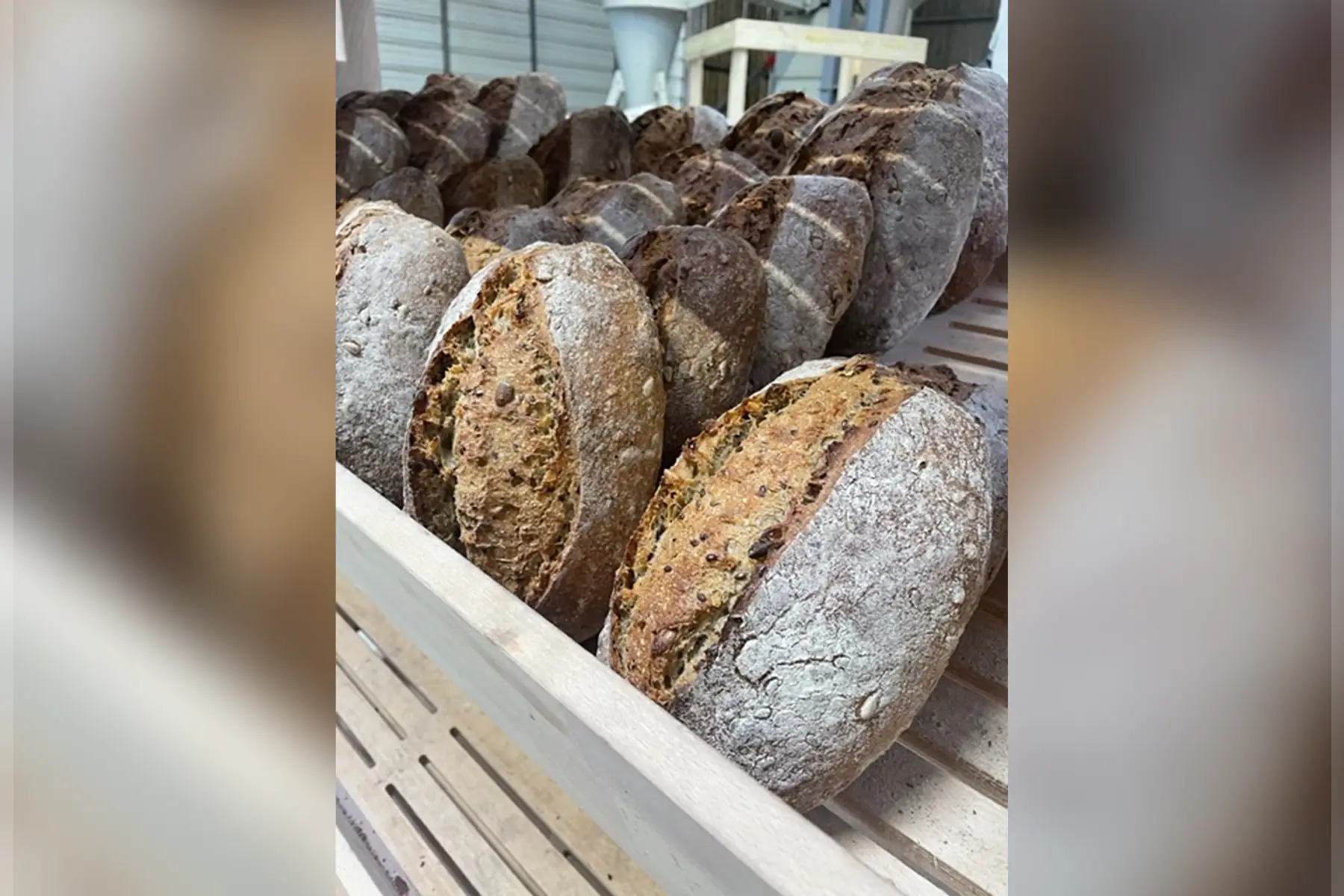 pain de campagne aux graines 500g