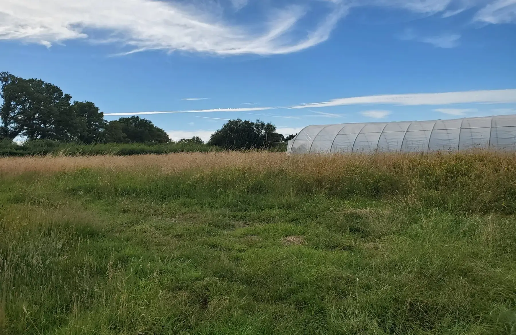 Du champ à l'assiette 72