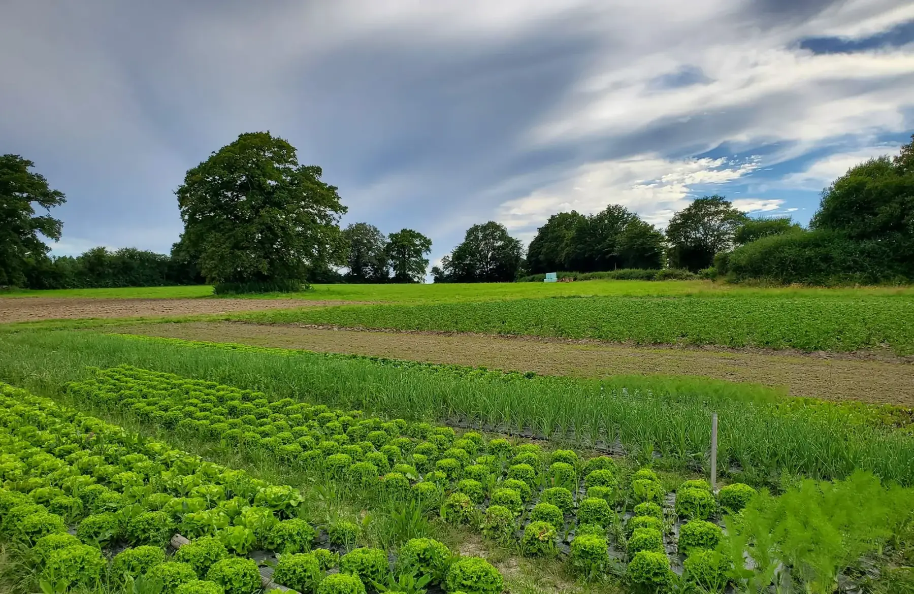 Du champ à l'assiette 72