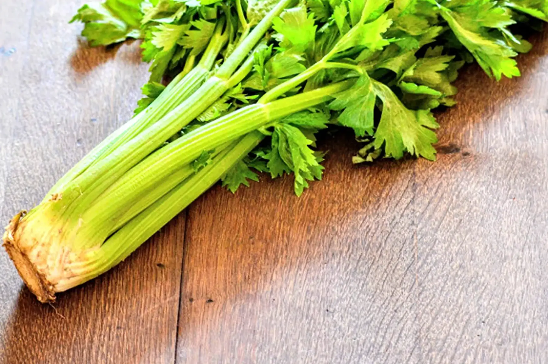 céleri branche