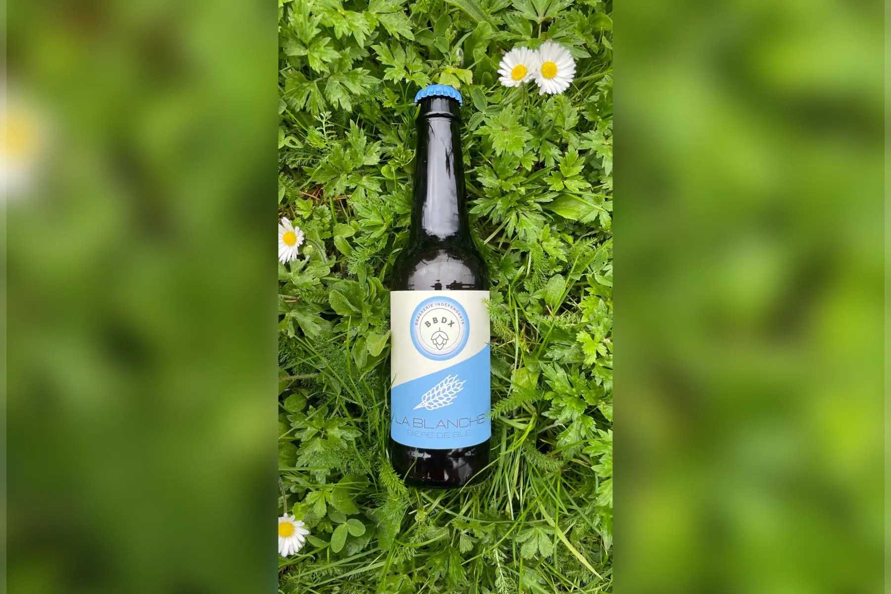 bière blanche 33cL