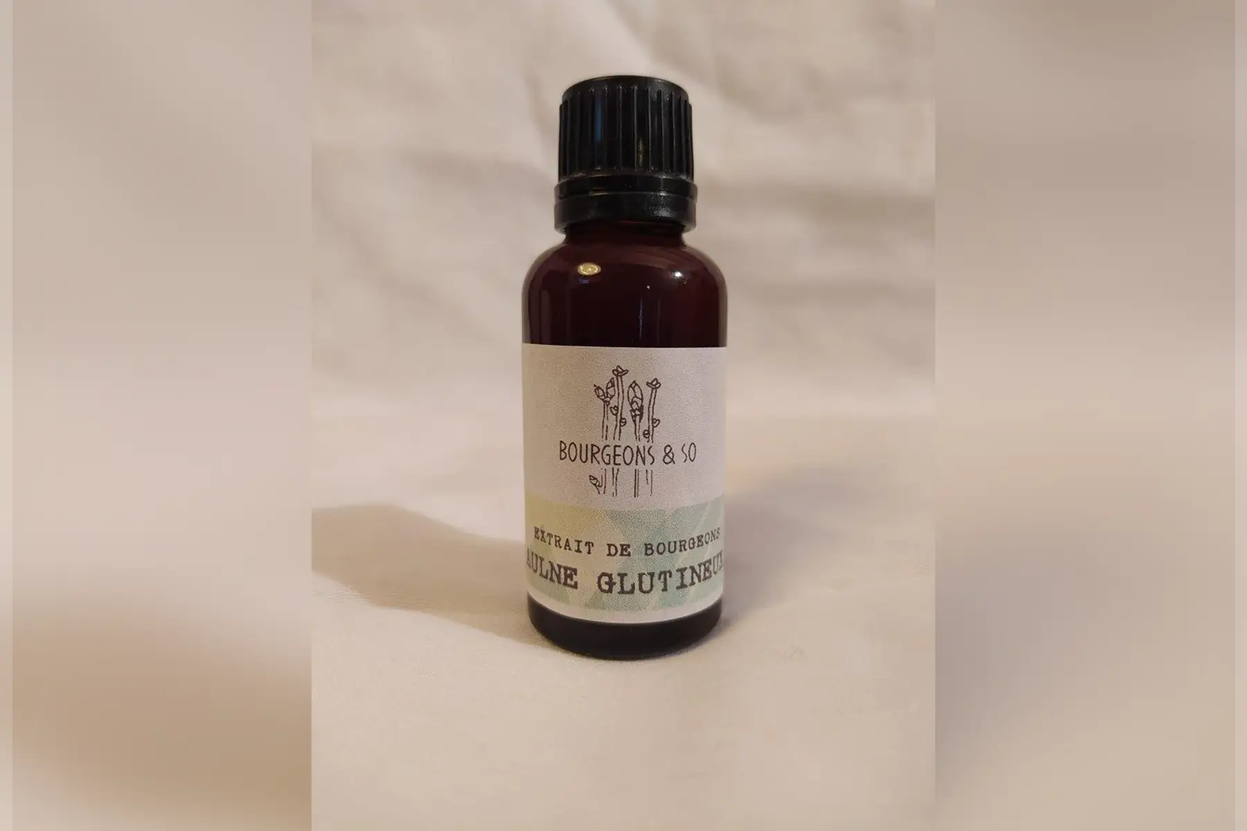 macérât concentré d'aulne glutineux