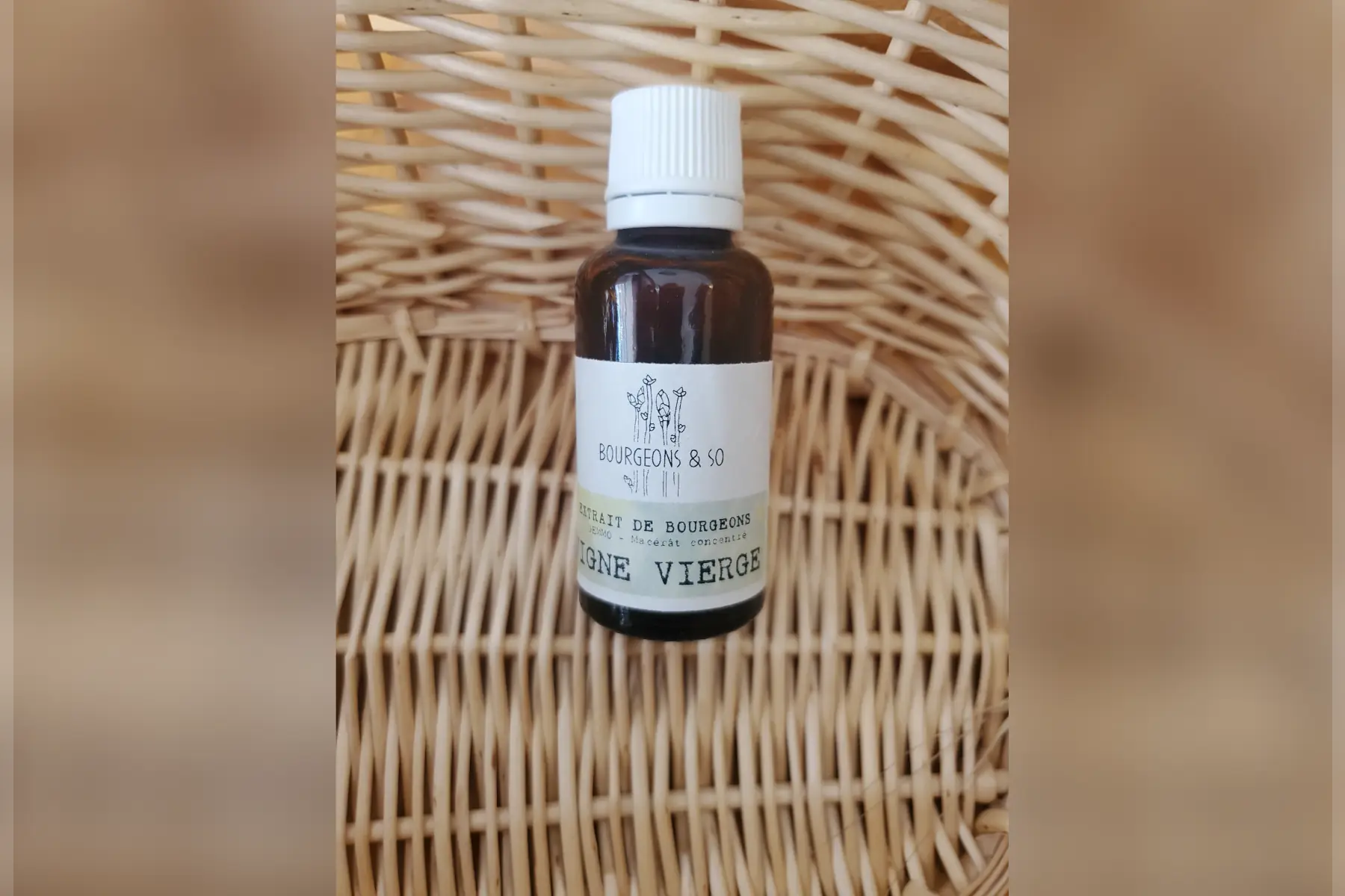 macérât concentré de vigne vierge