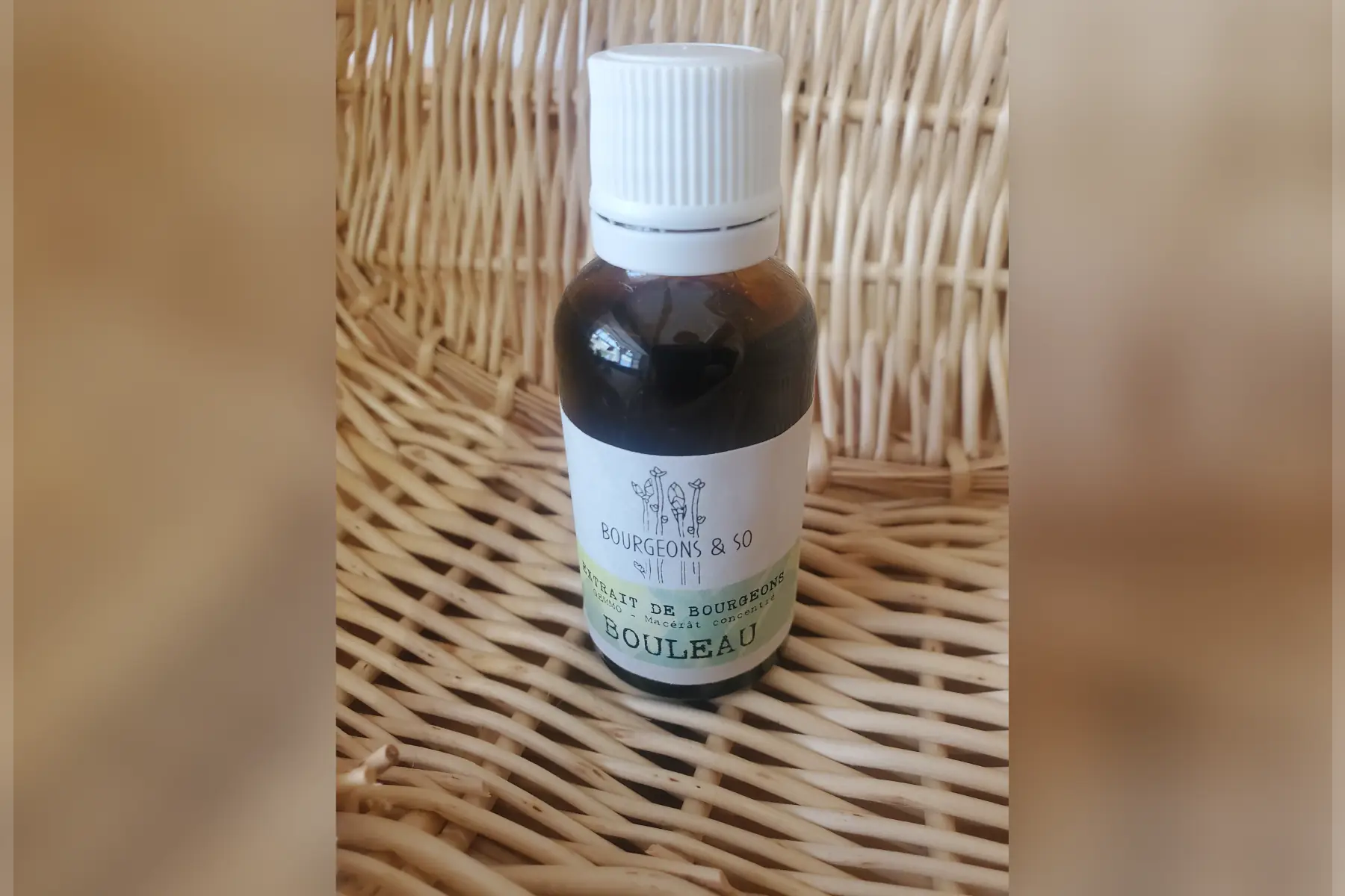 macérât concentré de bouleau verruqueux