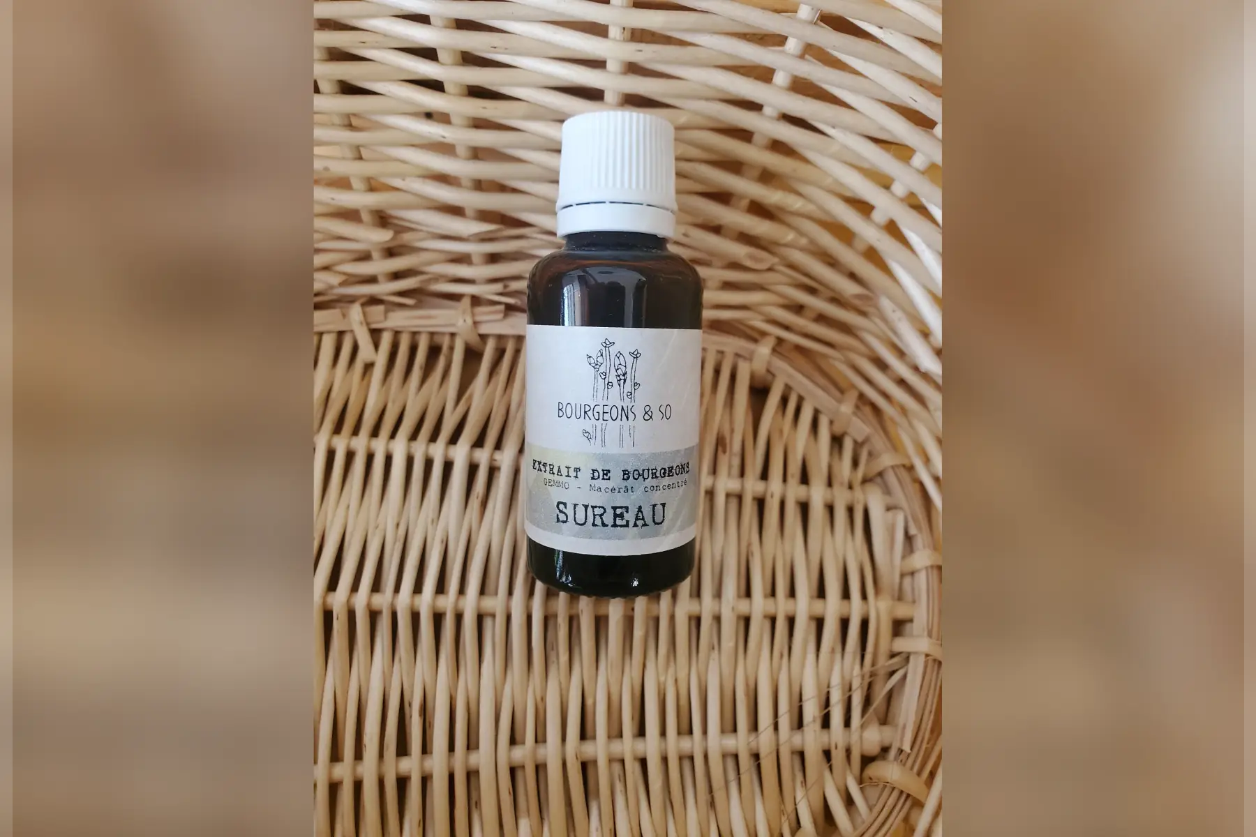 macérât concentré de sureau noir