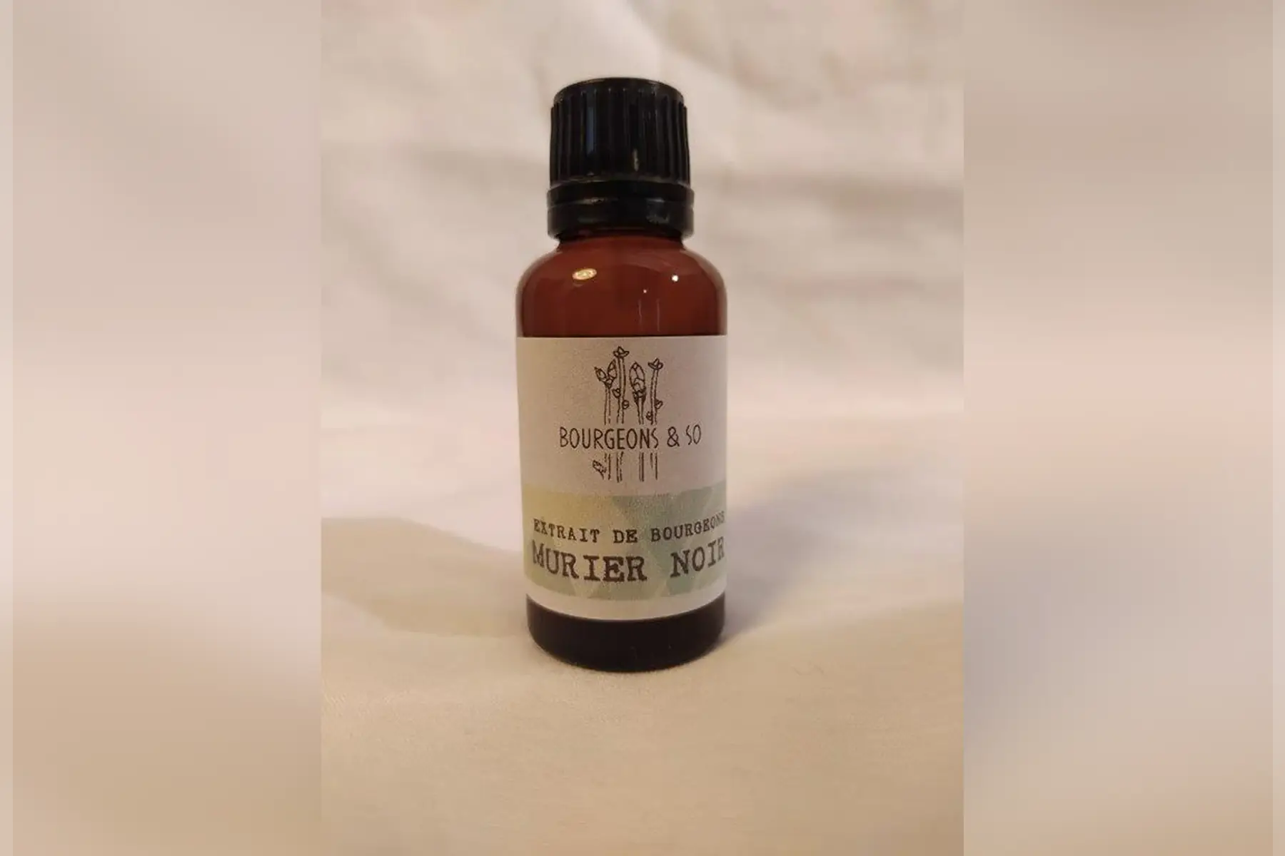 macérât concentré de murier noir