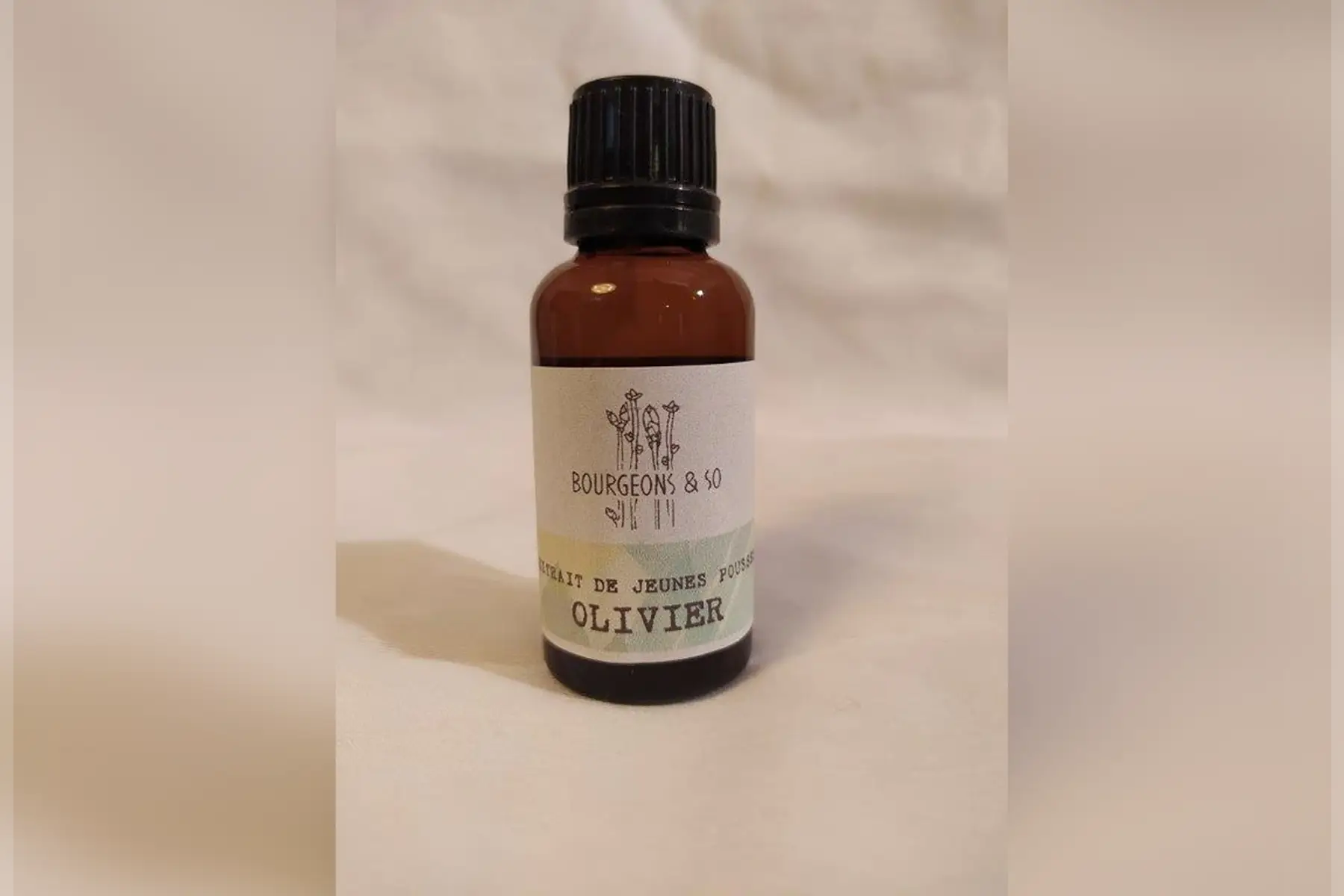 macérât concentré de olivier