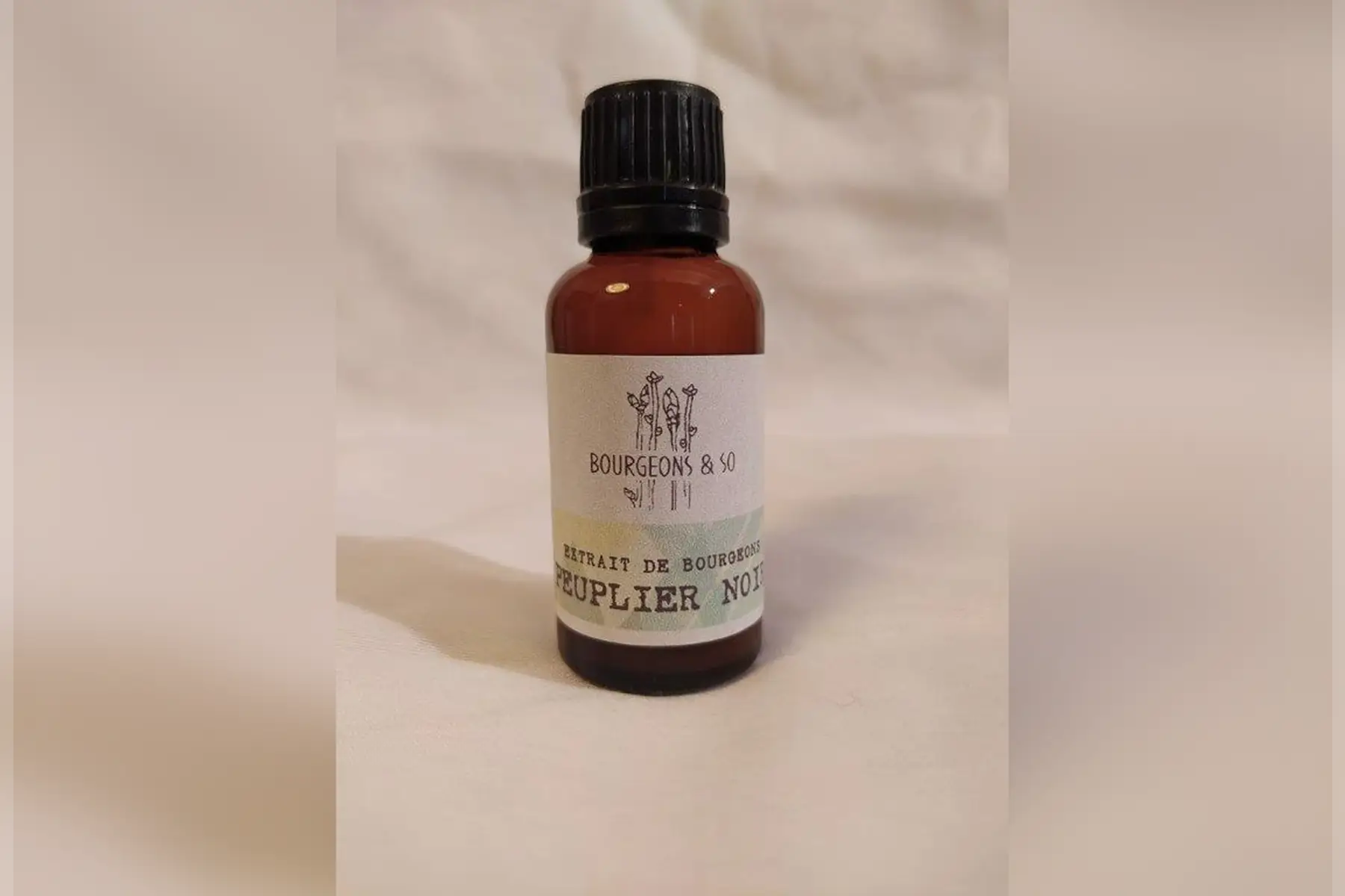 macérât concentré de peuplier noir