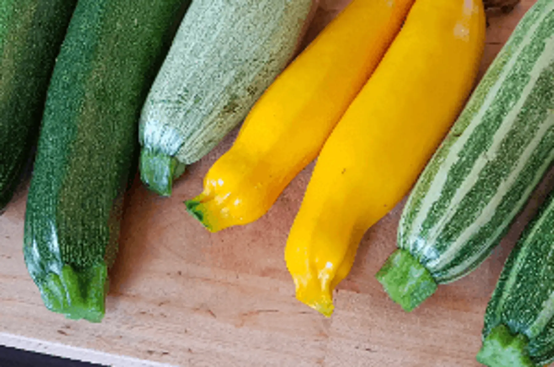 Courgettes Variées