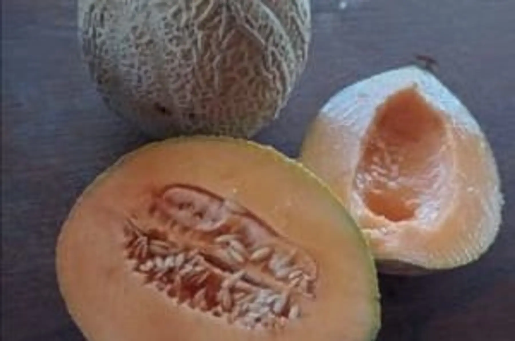 Melon de variété ancienne