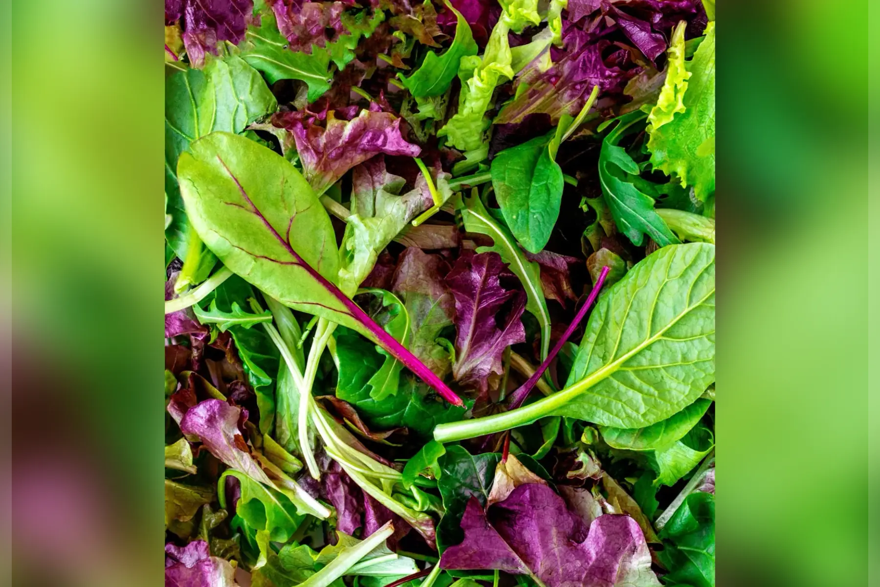 Ferme de la folle avoine