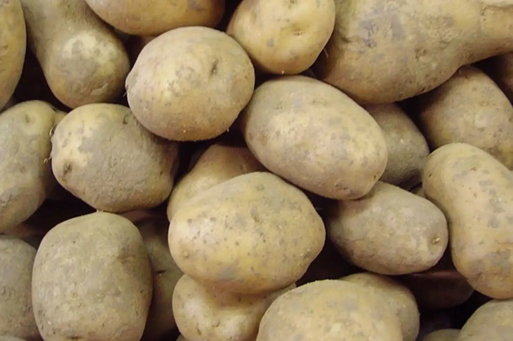 Pommes de terre