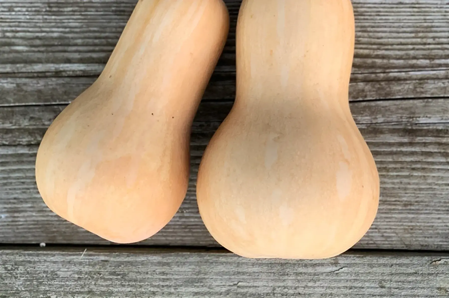 Courge butternut