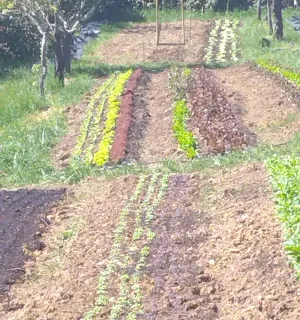 Le jardin des cabanes
