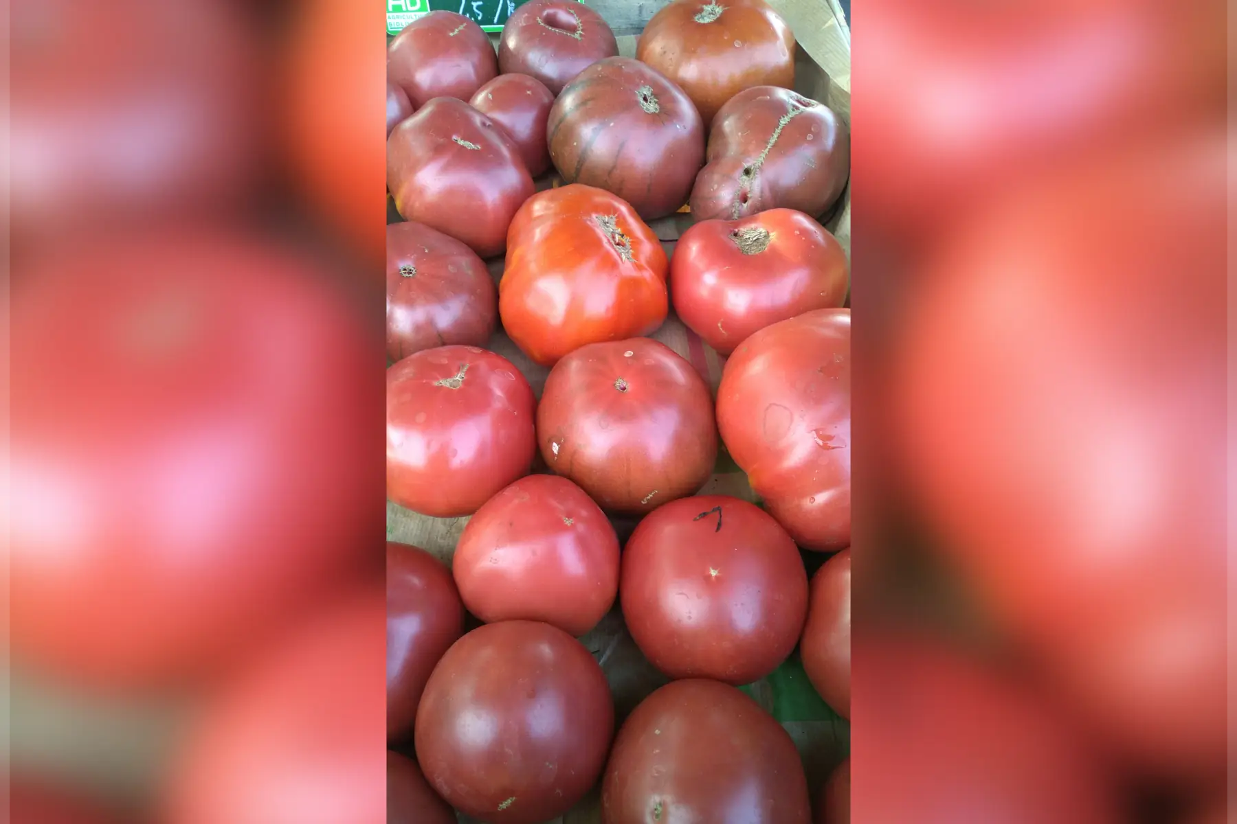 Tomates anciennes