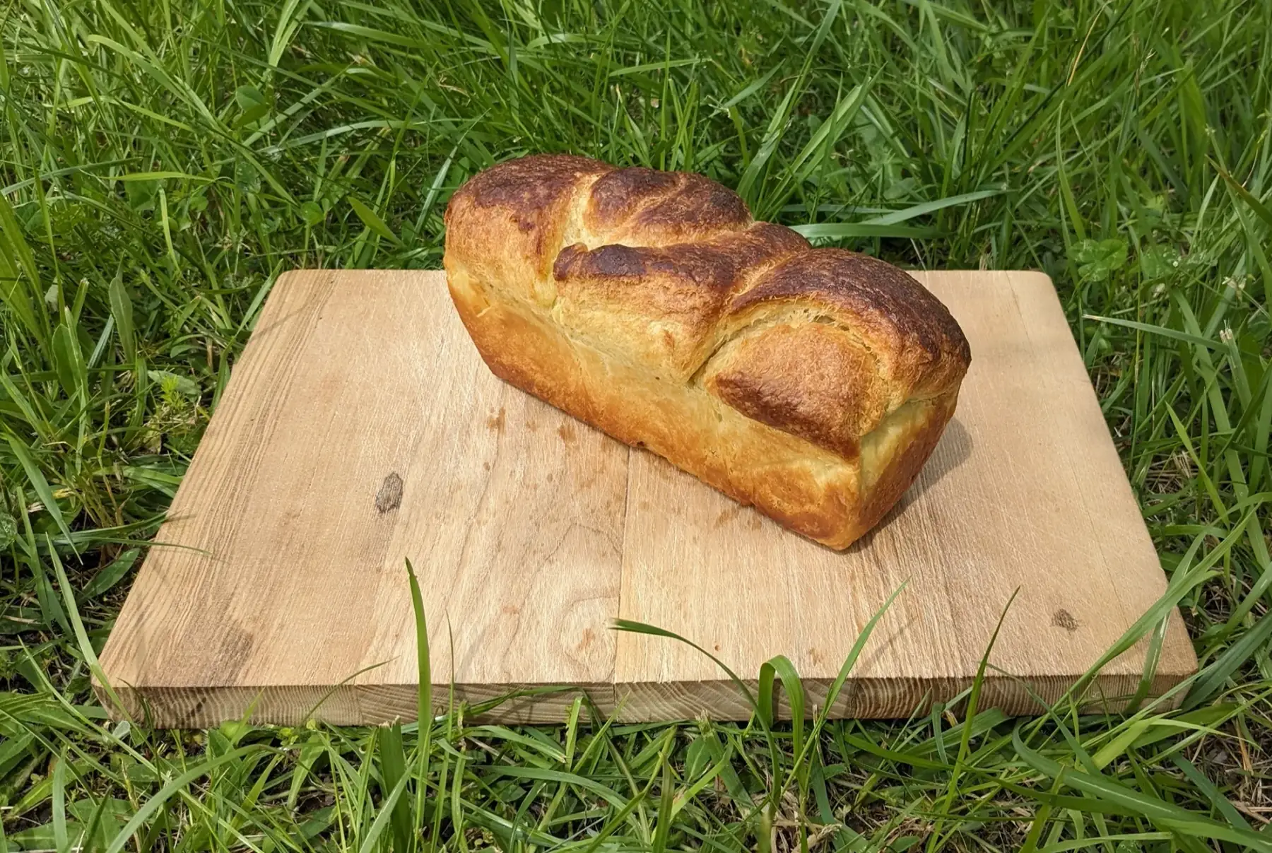 brioche