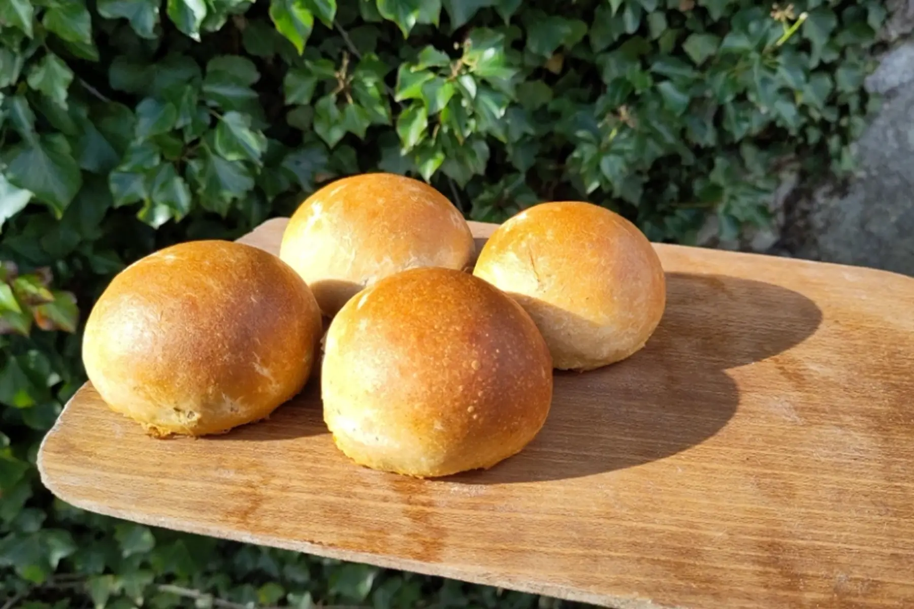 brioche d'antan