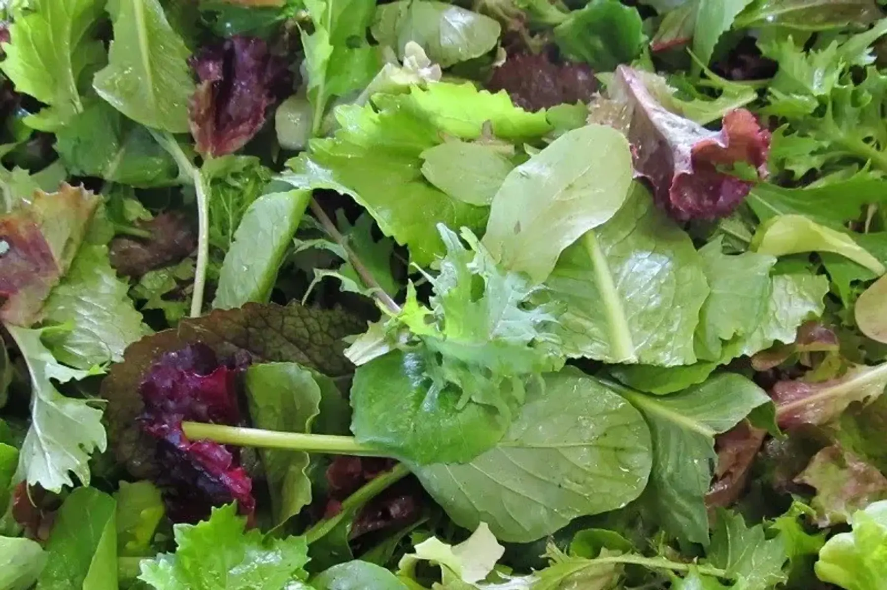 Mesclun