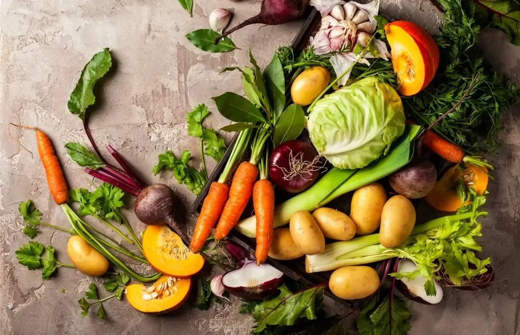 Le jardin d'hiver et varié