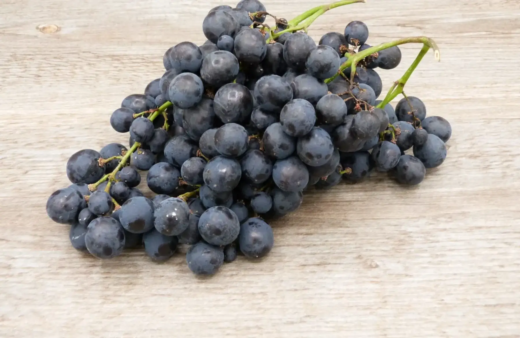 Raisin muscat