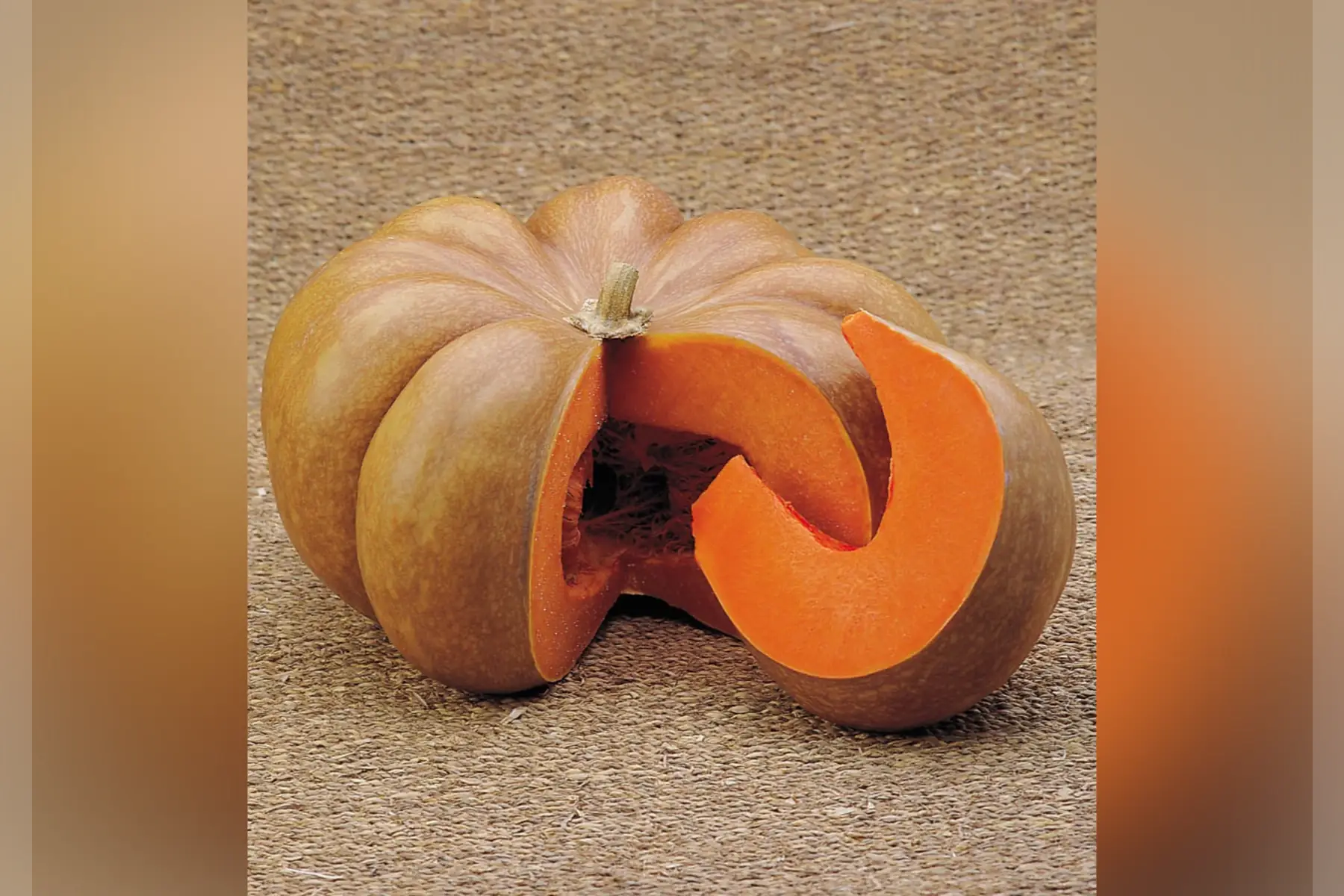 Courge musquée de provence