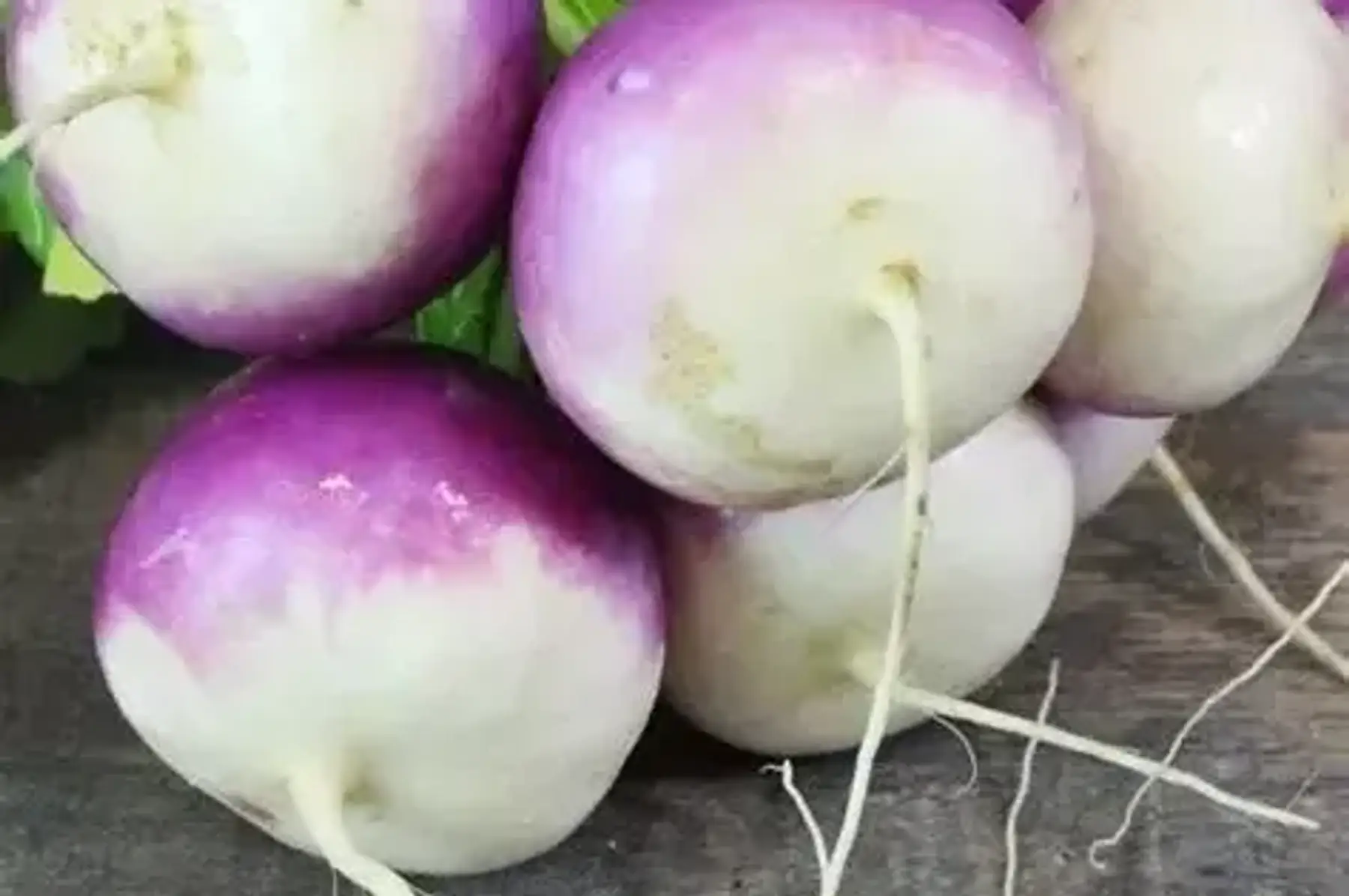 Botte de navets violet