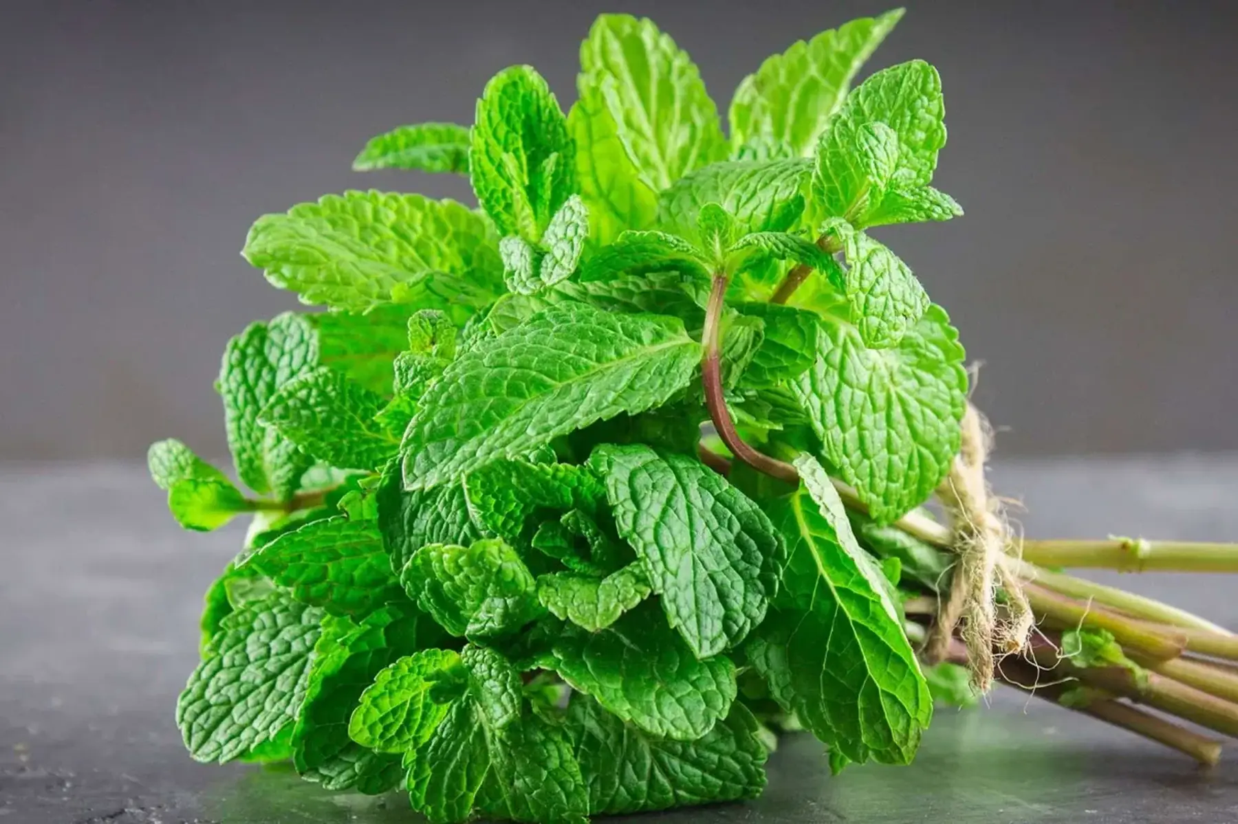 bouquet menthe verte