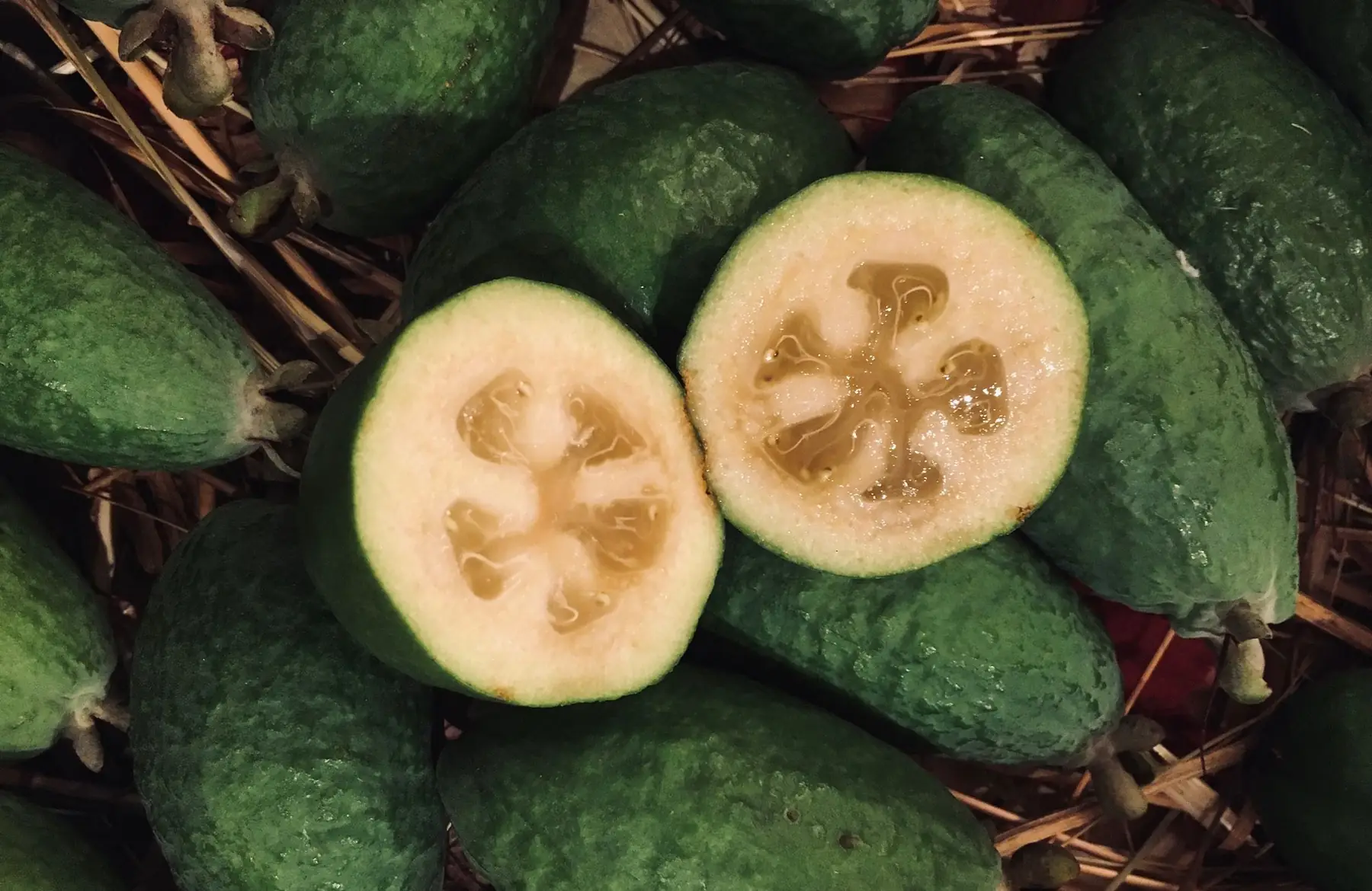 Feijoas