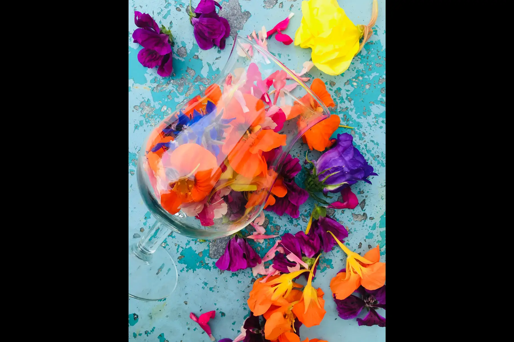 Les Jardins de Lupins