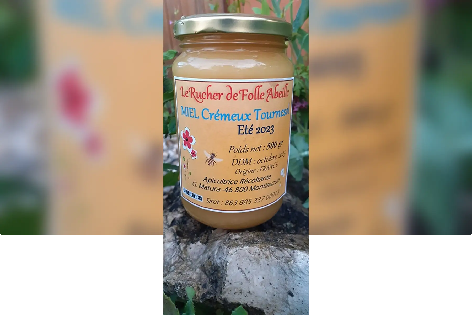 Le Rucher de Folle Abeille - Gaëlle Matura