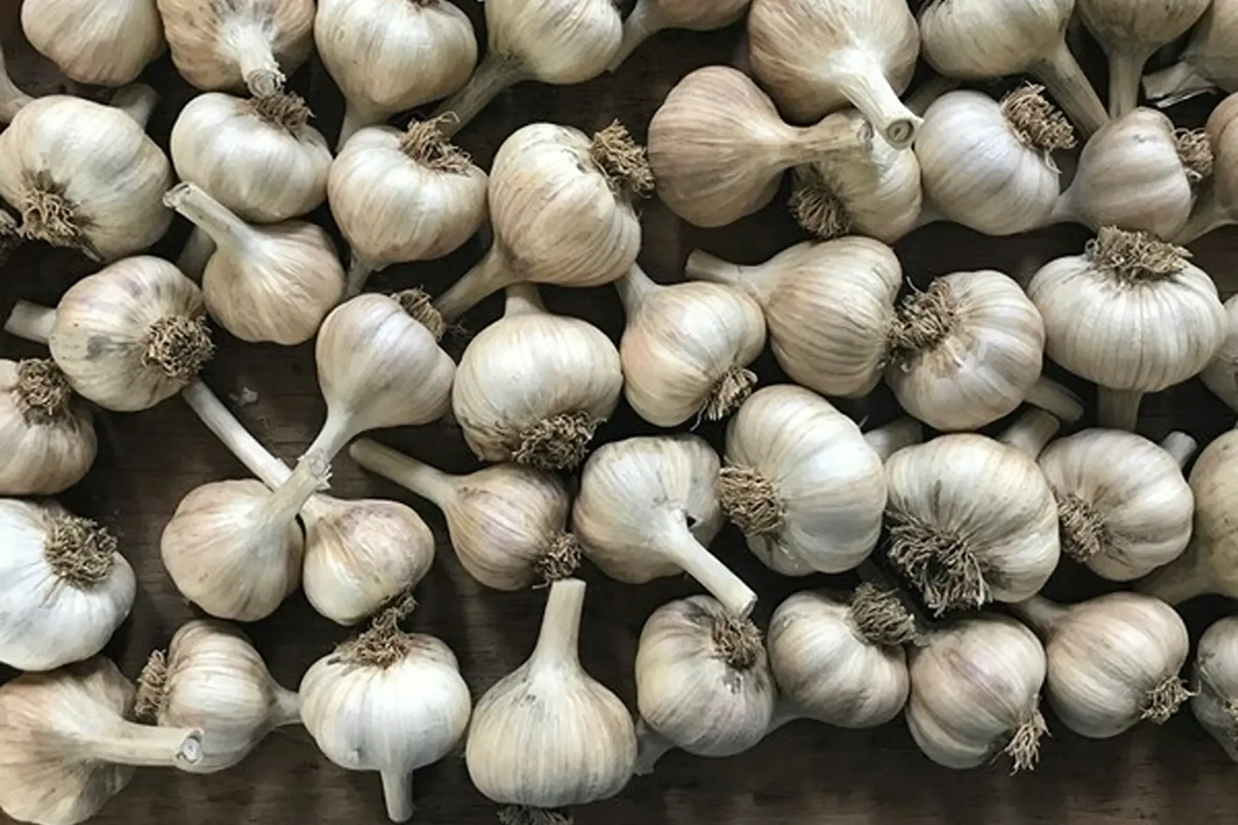 Ail