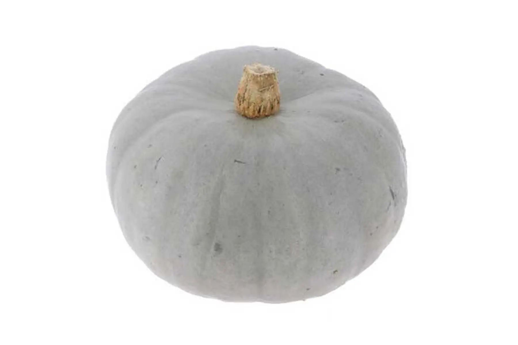 Courge Bleu de Hongrie (Grosse: 4-5kg)