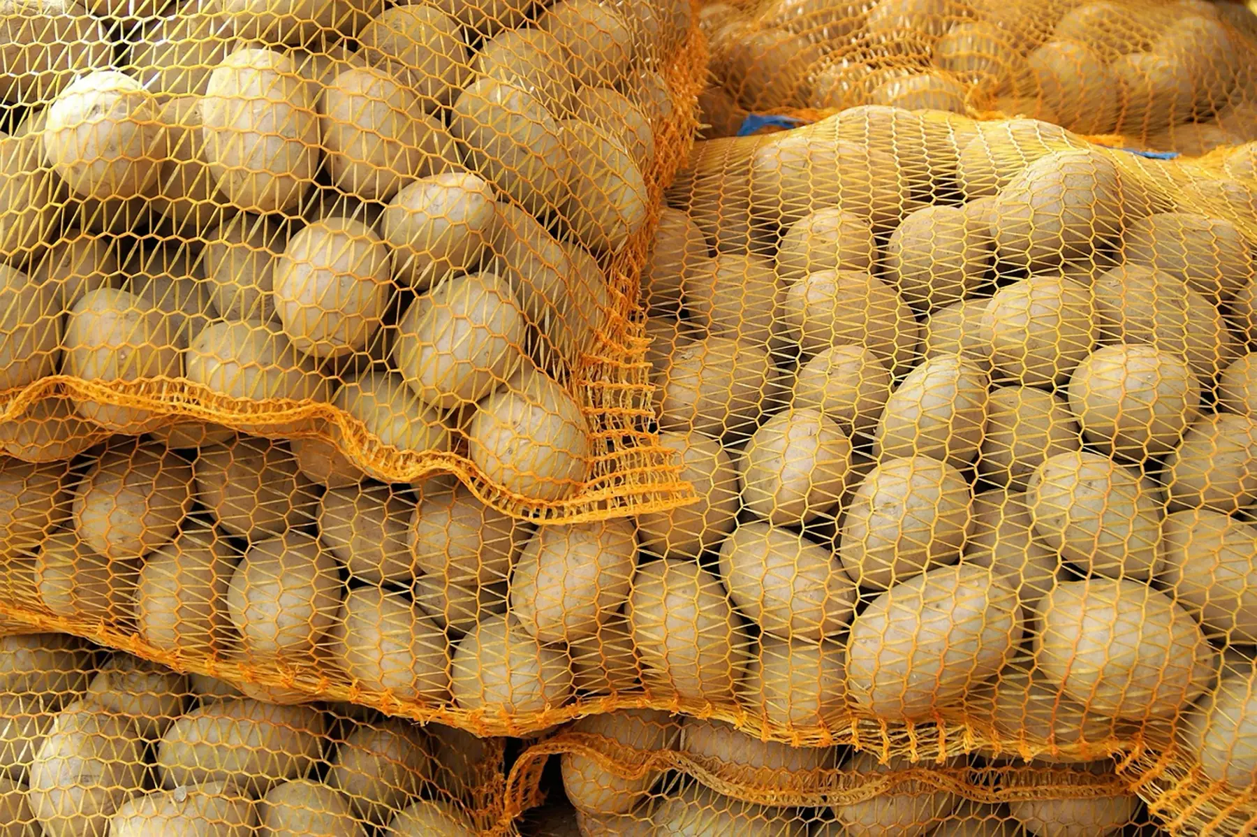 Sac de pomme de terre Allians (chair ferme, 10kg)