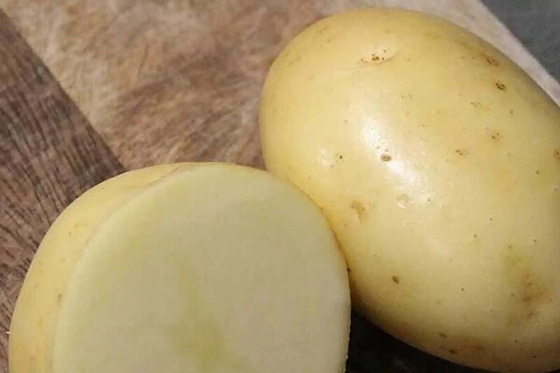 Pomme de terre à chair tendre Maïwen