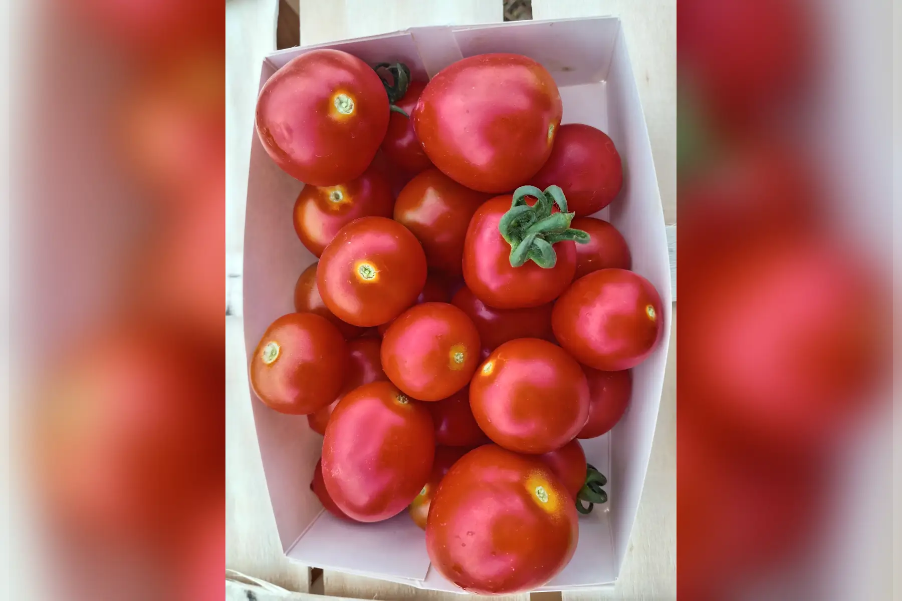 tomate Cerise