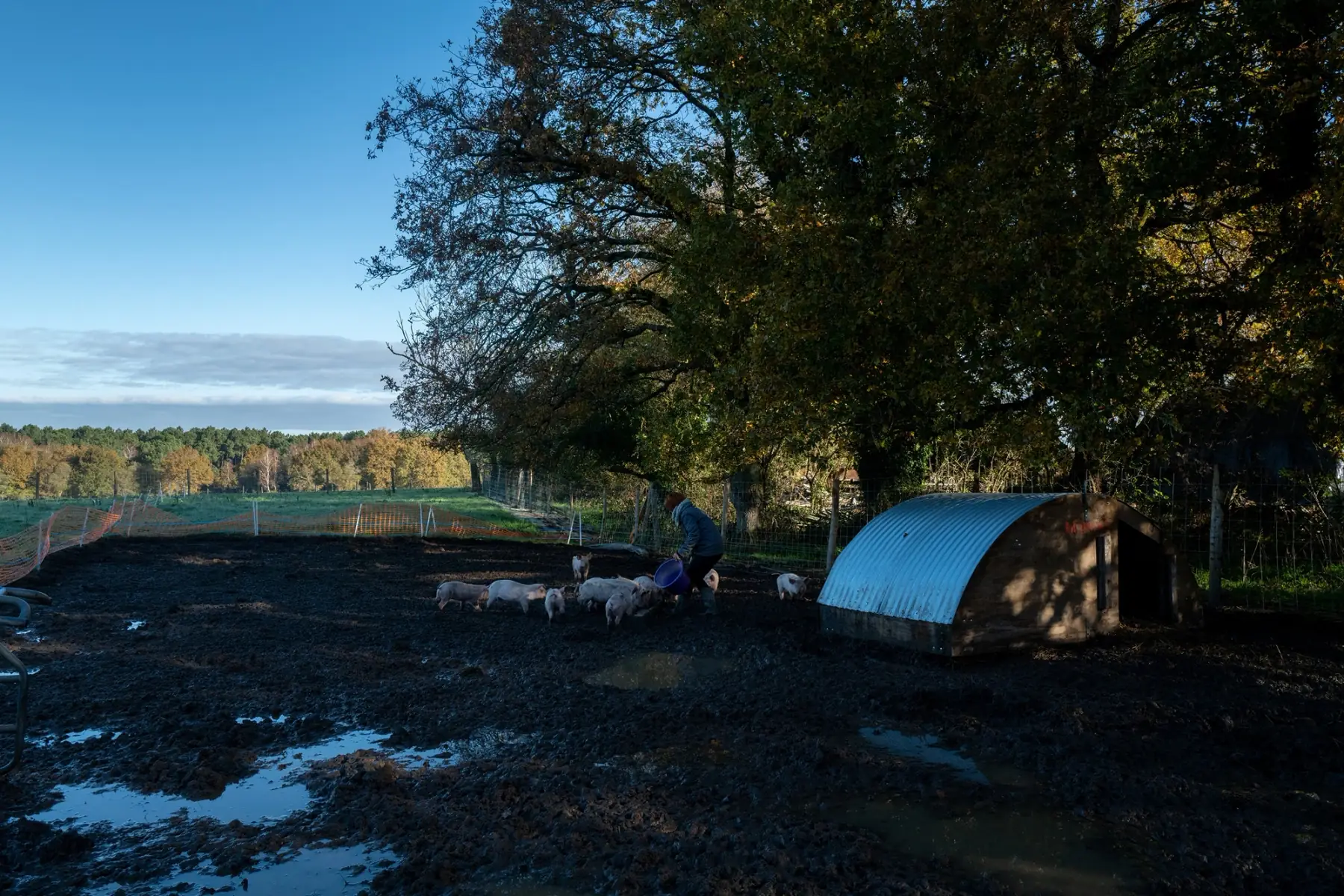 la petite ferme de Cléguérec