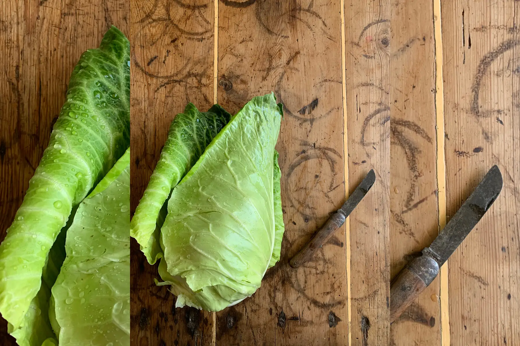 Chou pointu (environ 1kg)