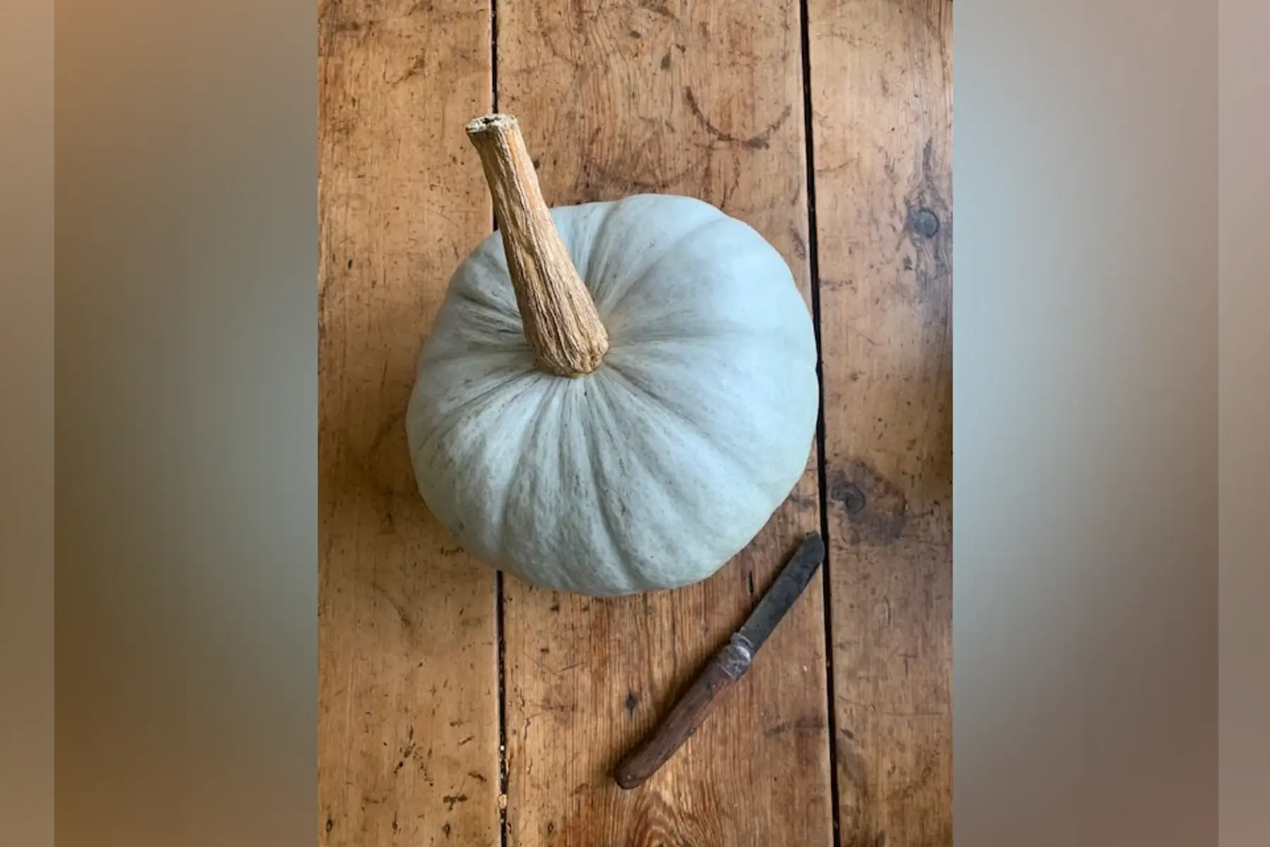 courge bleue de hongrie