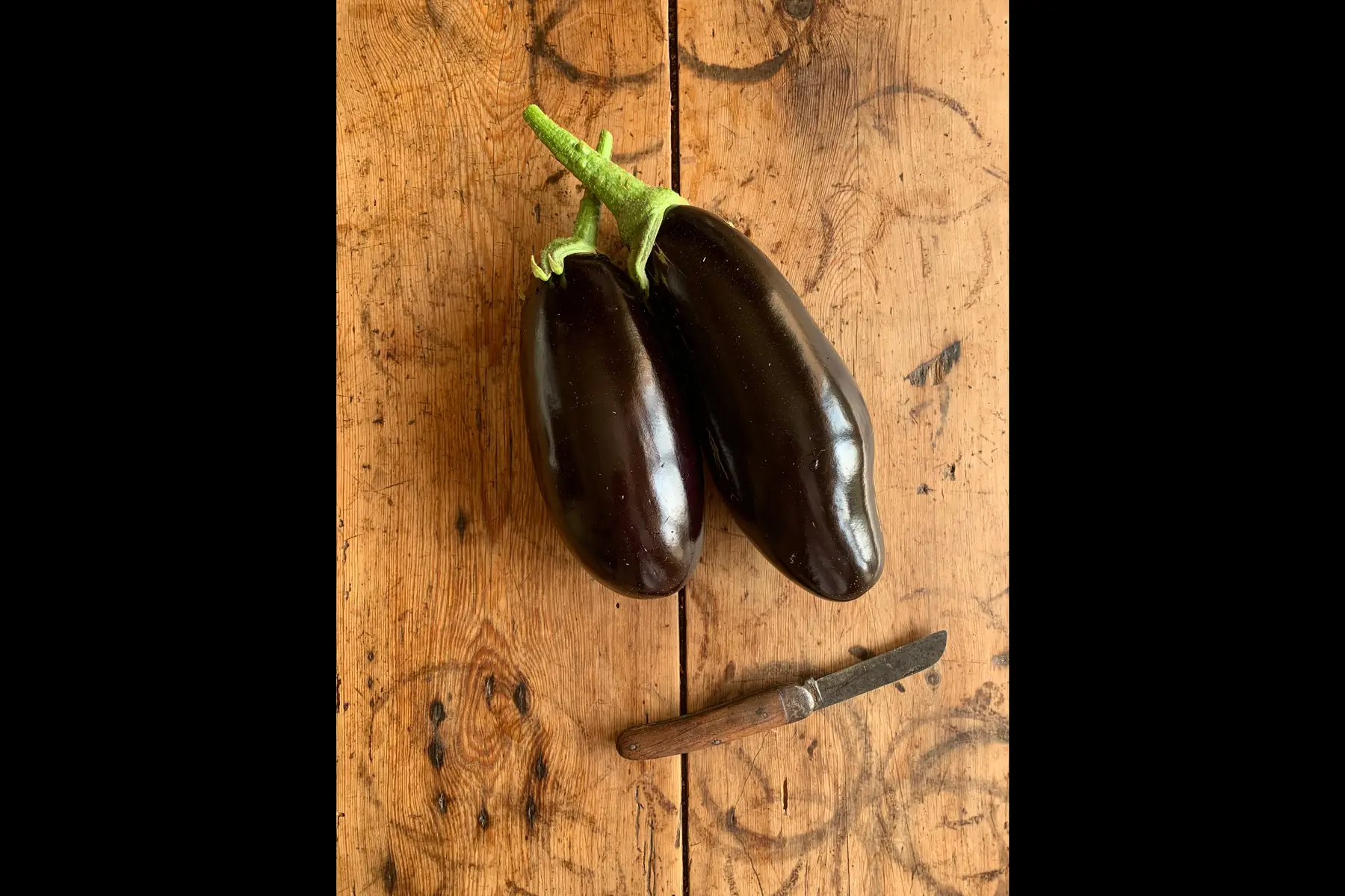 Aubergine