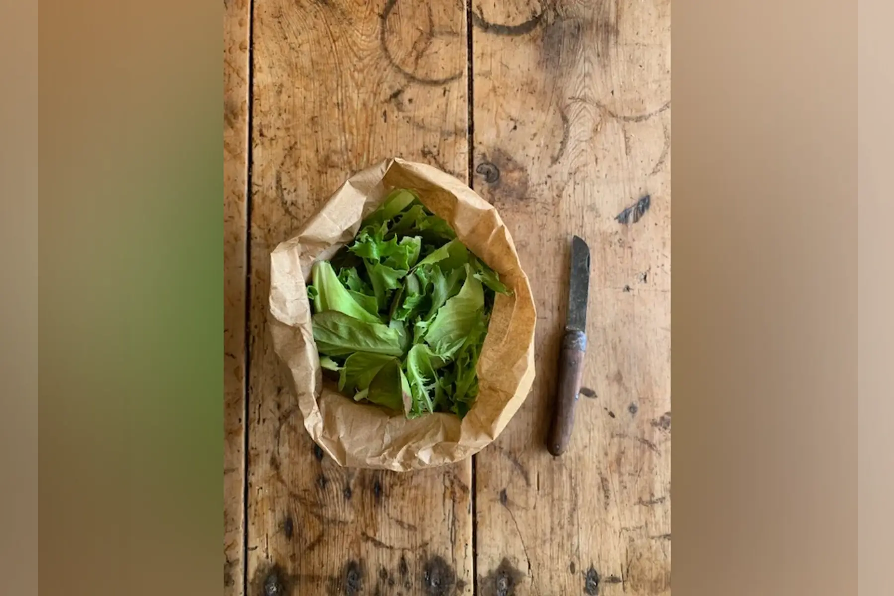 salade mix