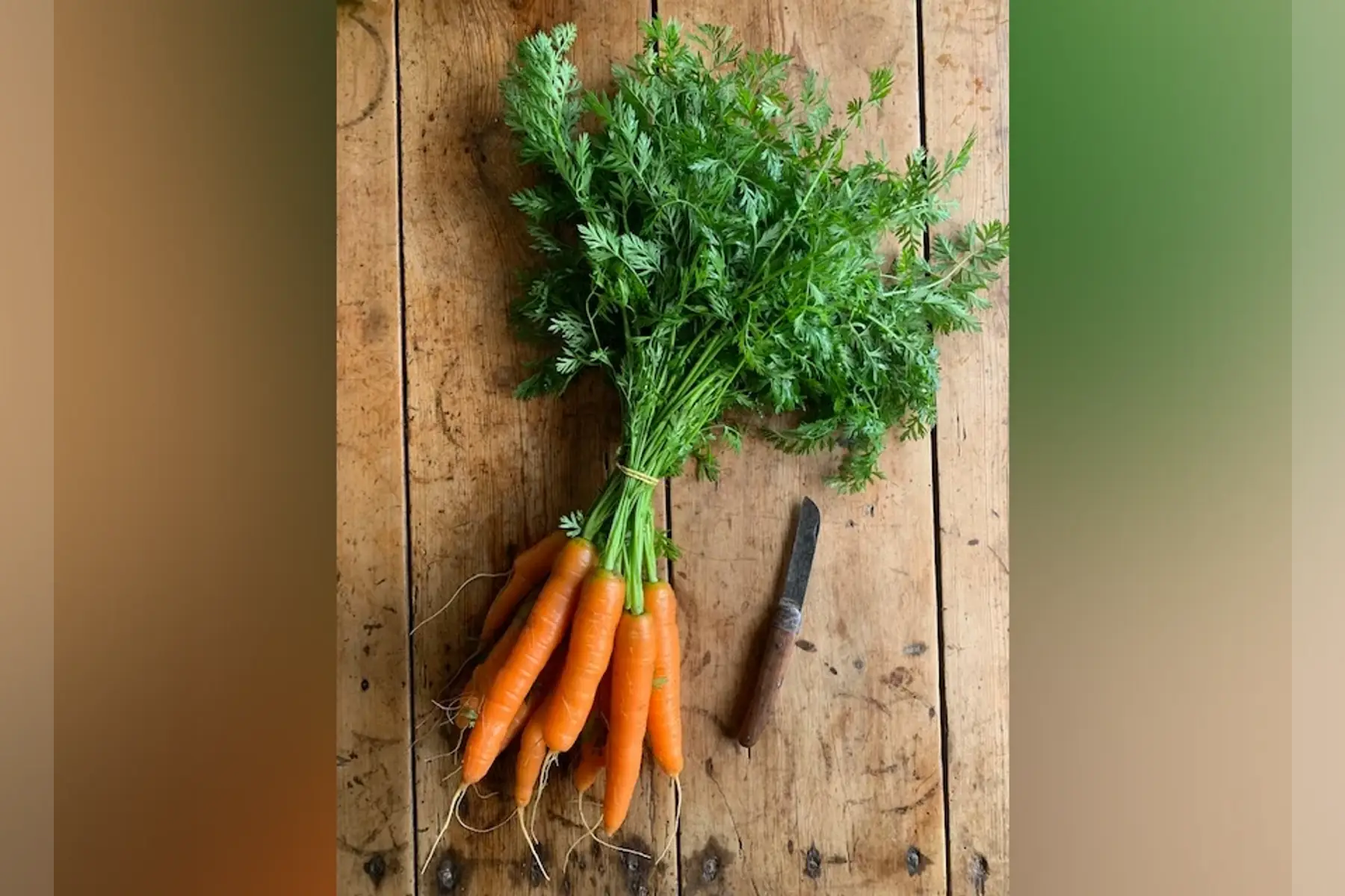 carotte botte (700g)