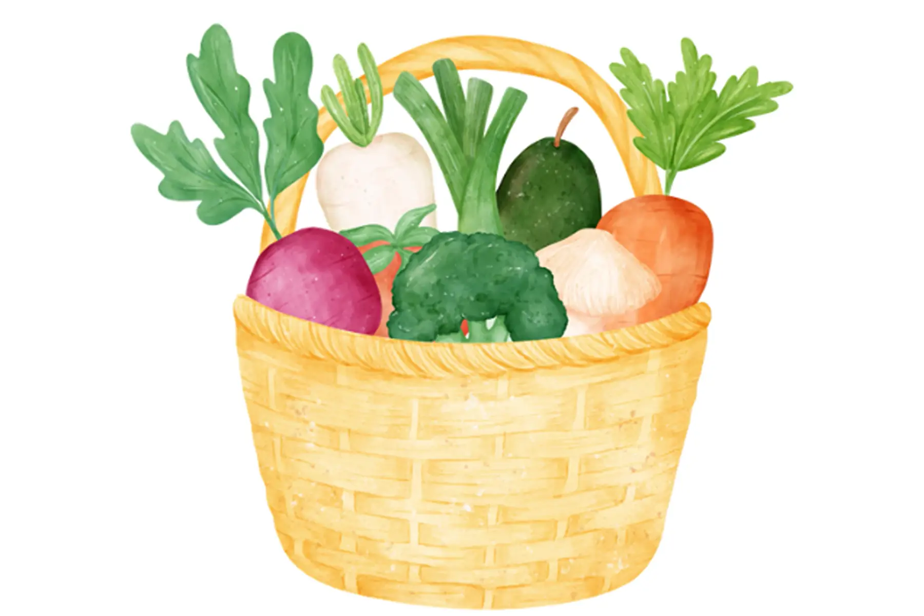 - barquette - petit format