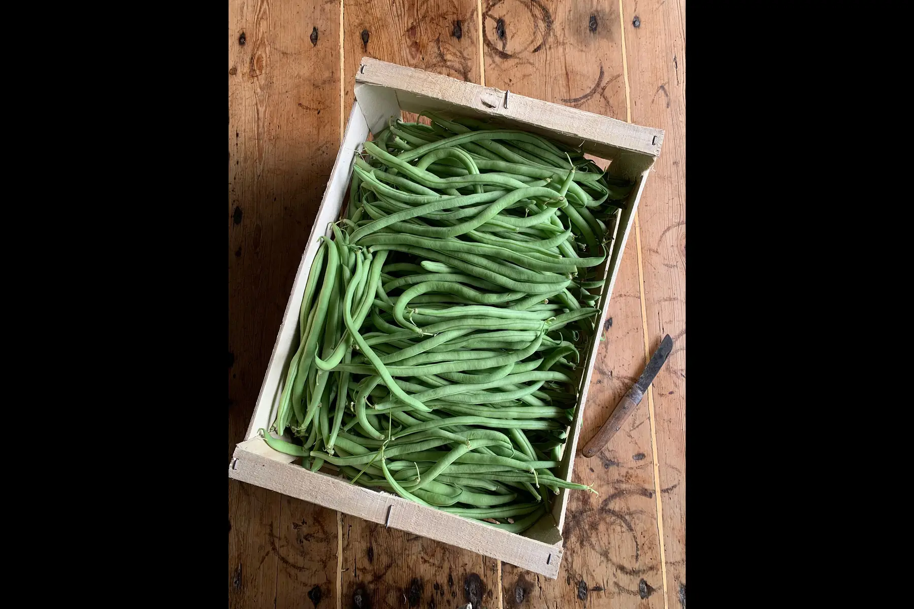 Haricot vert colis 3kg